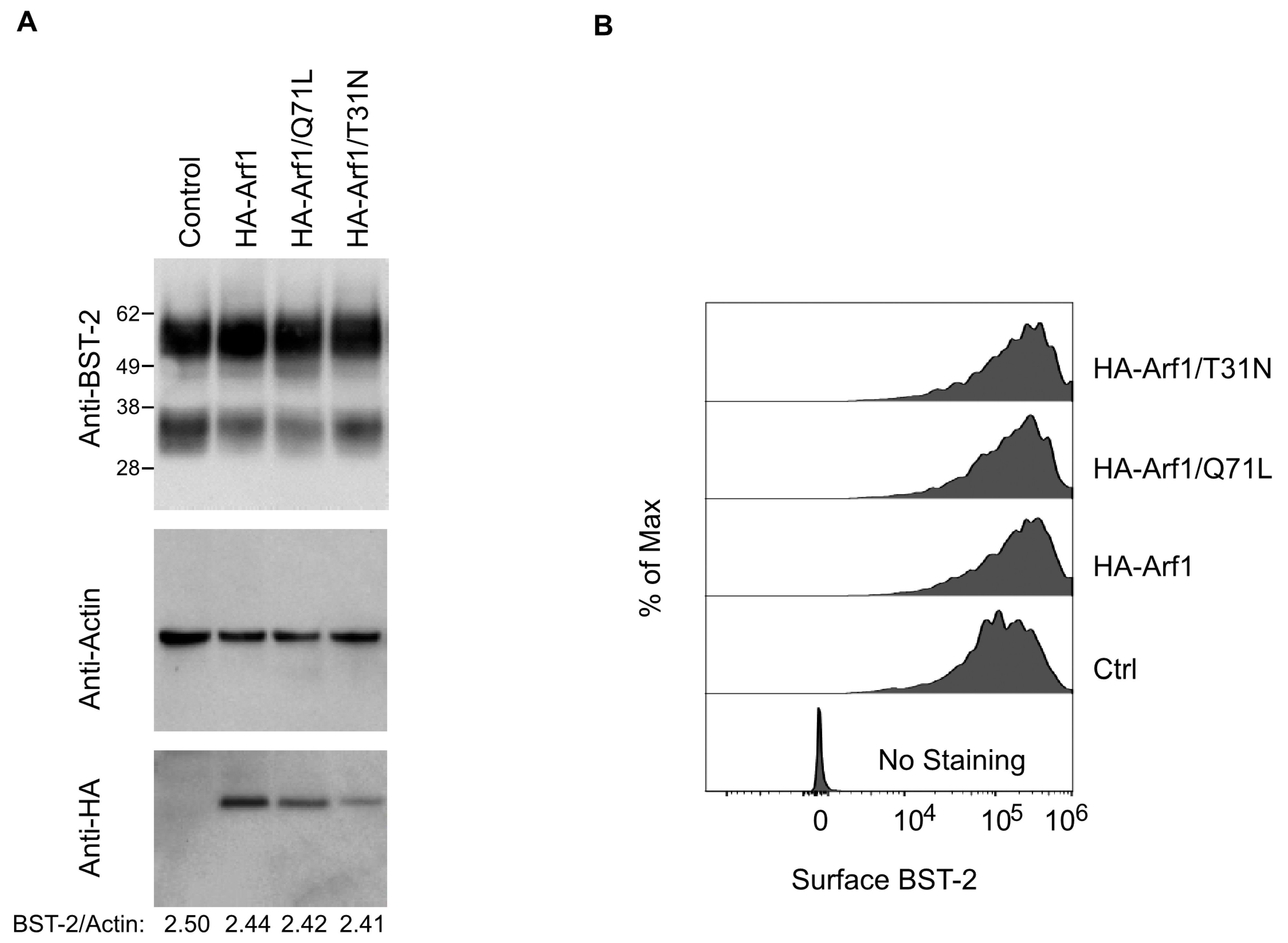 Viruses 18 00011 g006