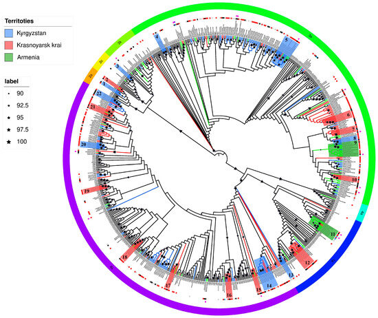 Genetic Diversity of the Hepatitis C Virus Among Patients with HIV in ...