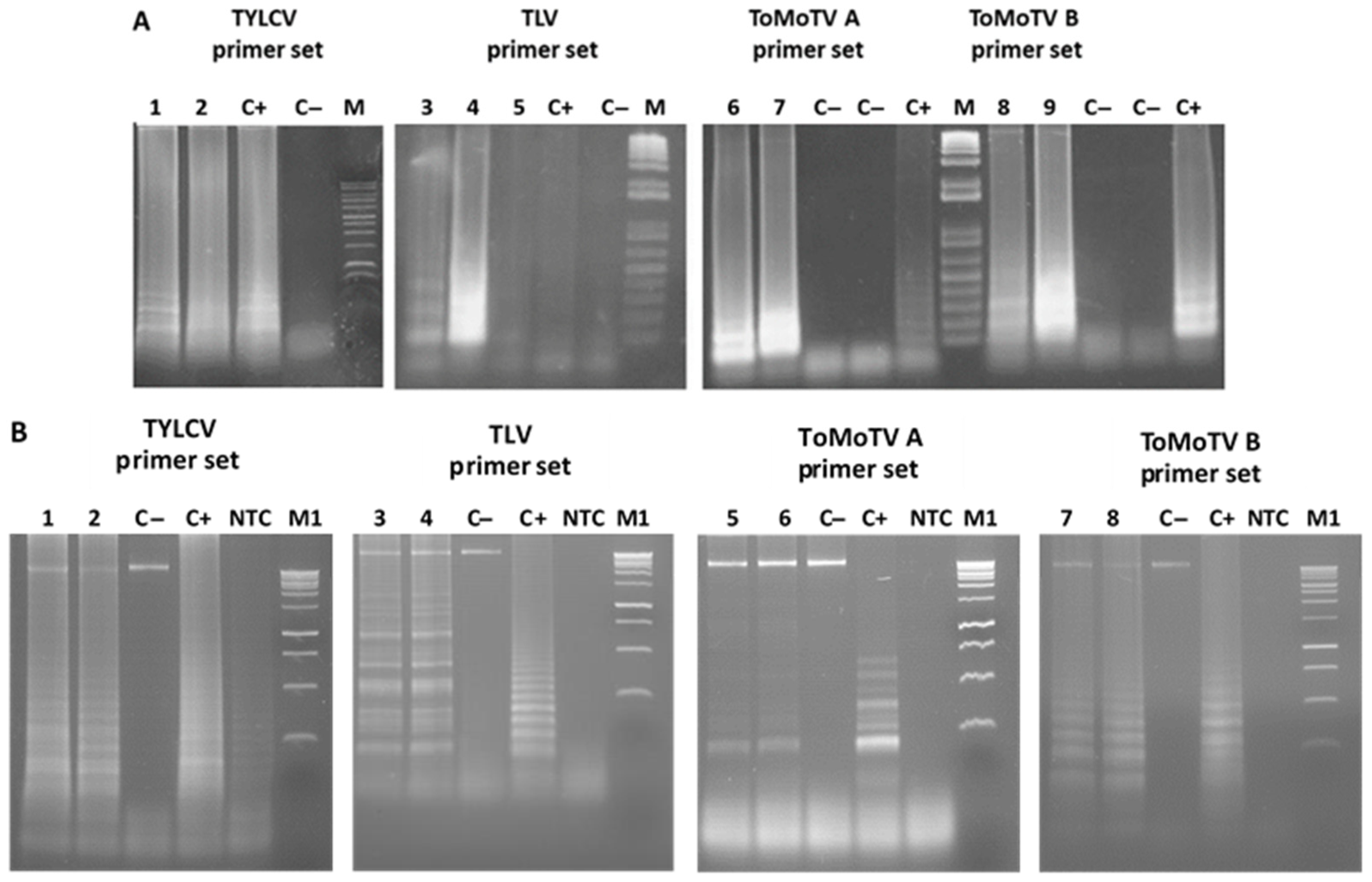 Viruses 18 00019 g002