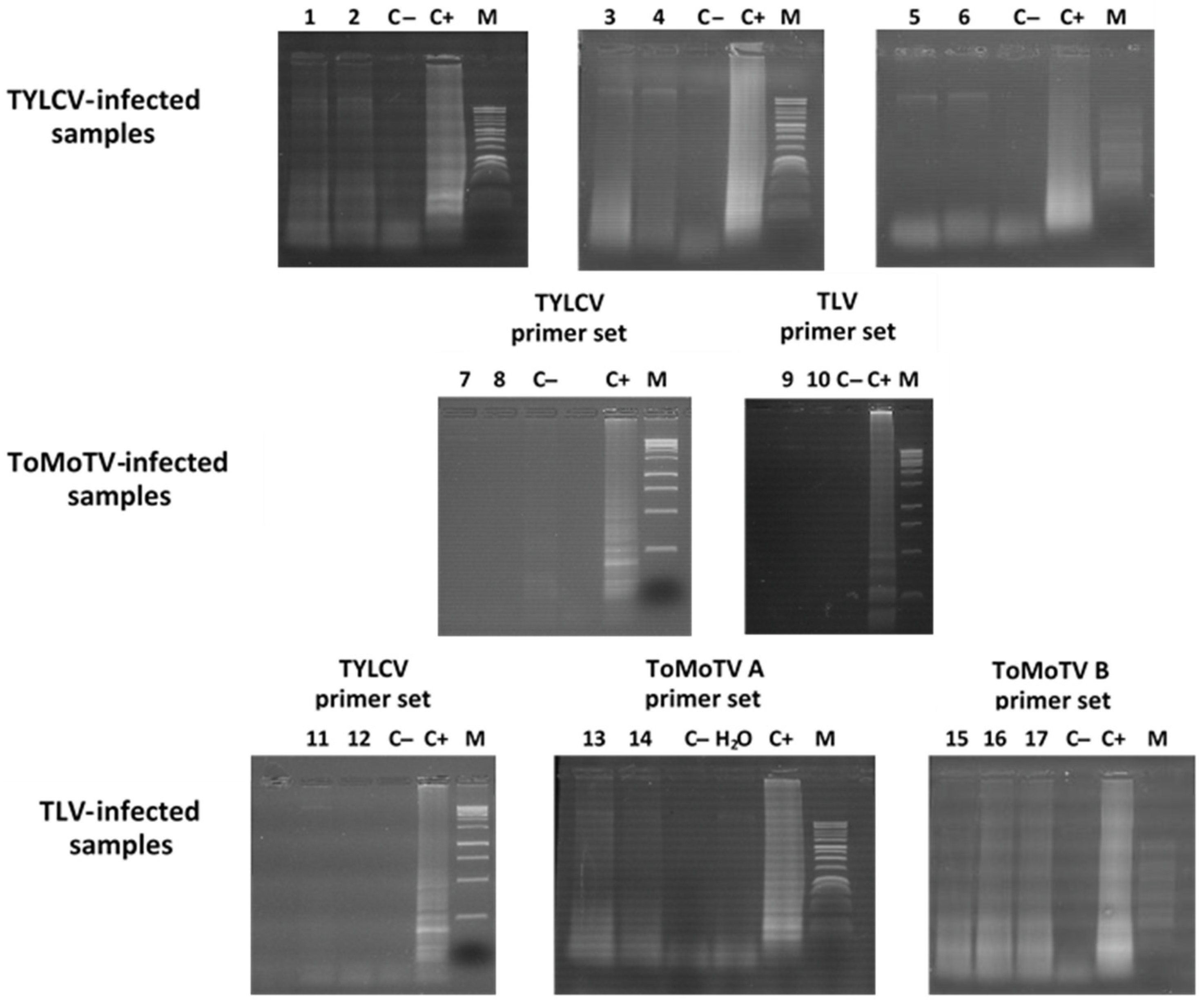 Viruses 18 00019 g003