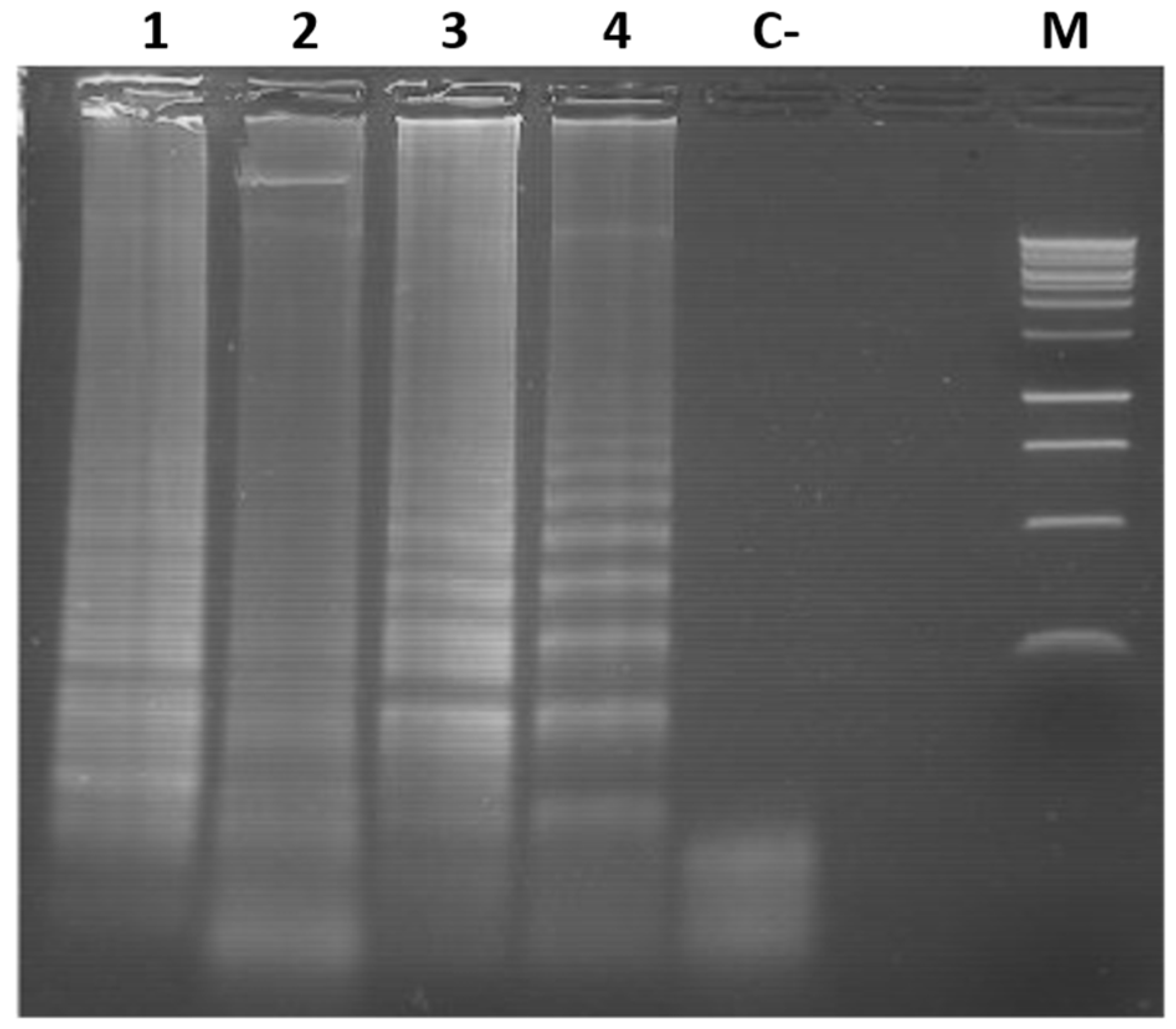 Viruses 18 00019 g004