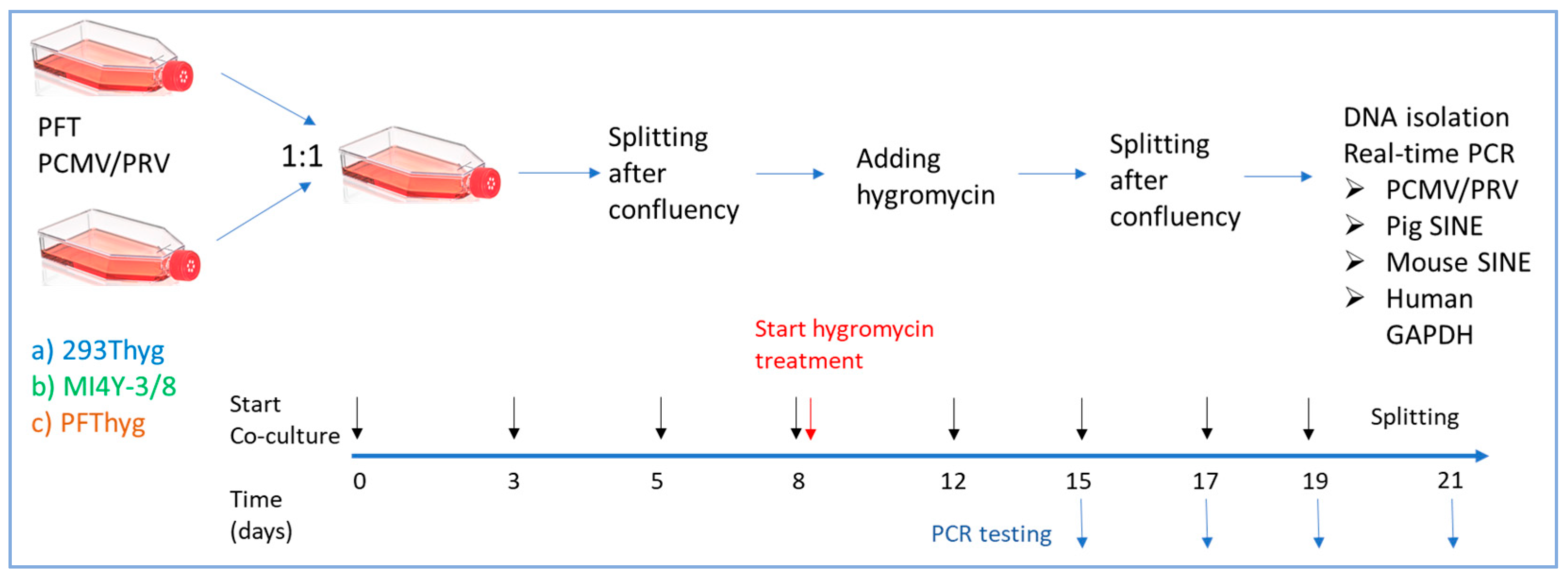 Viruses 18 00021 g001