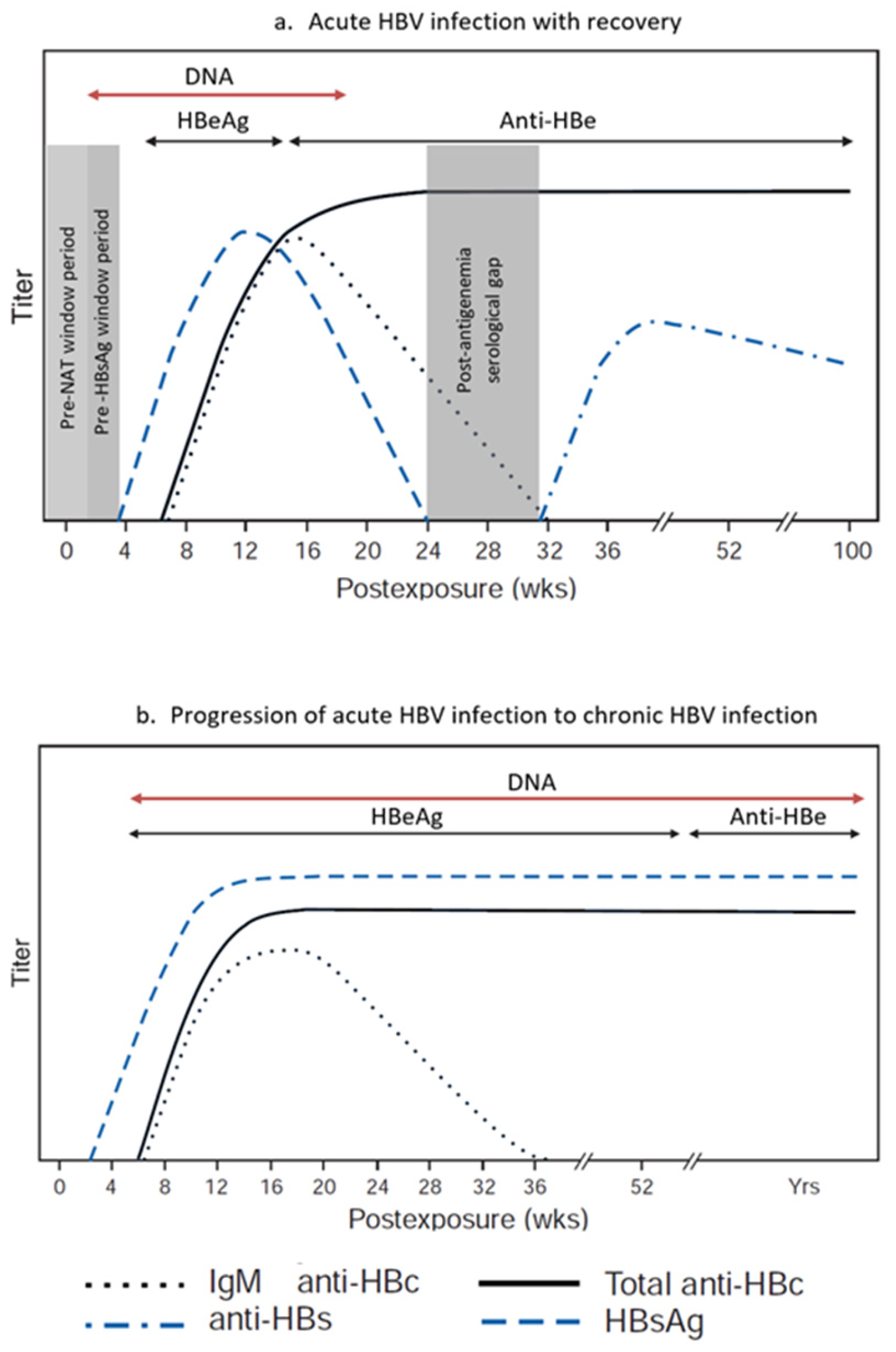 Viruses 18 00023 g002