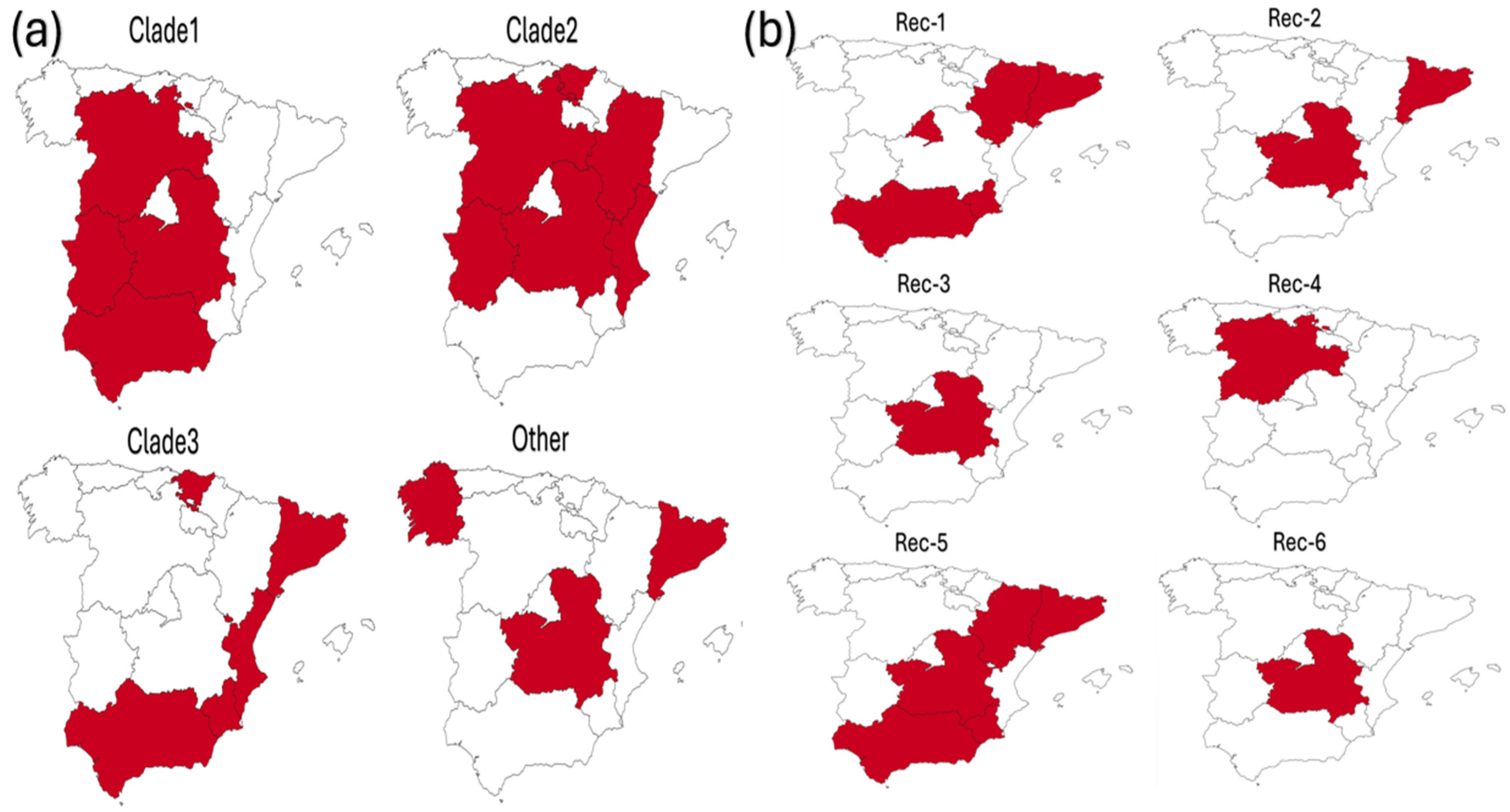 Viruses 18 00024 g002