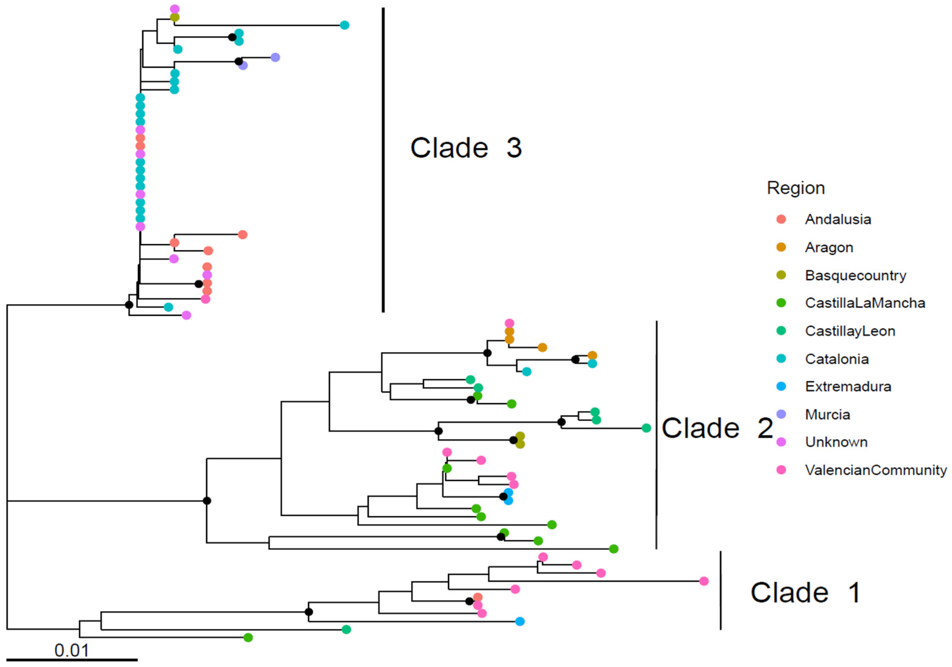 Viruses 18 00024 g003