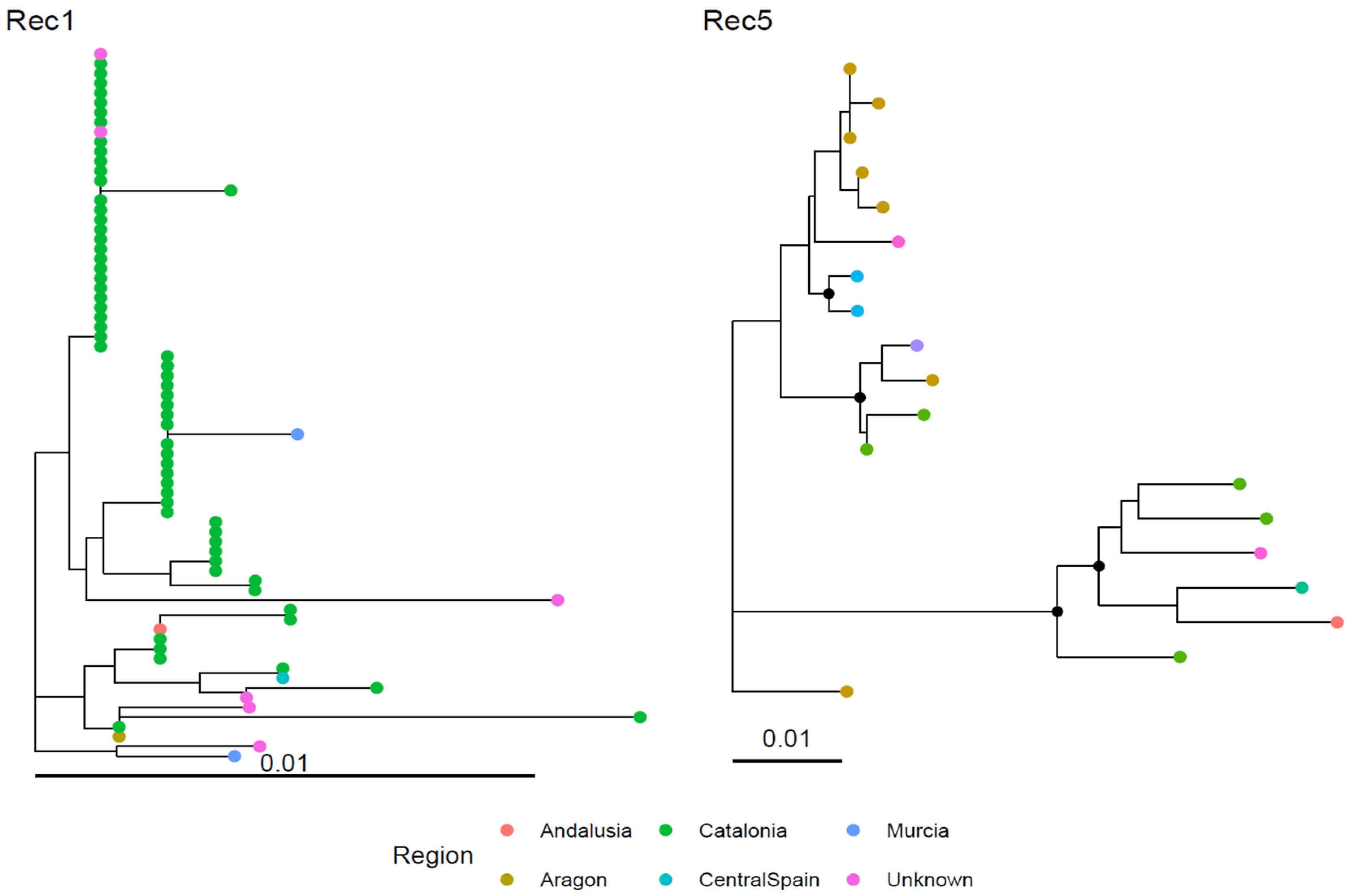 Viruses 18 00024 g004