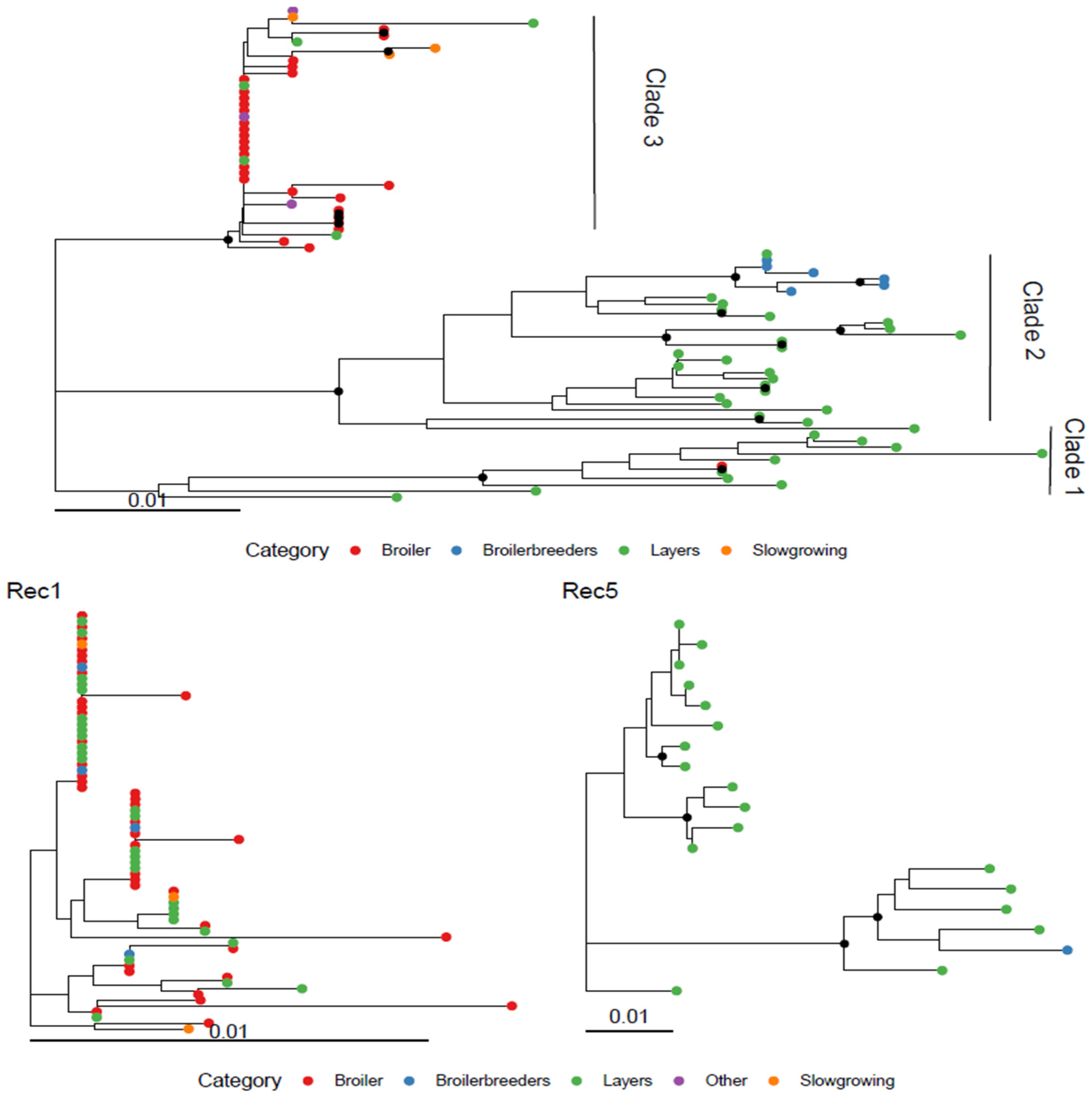 Viruses 18 00024 g005