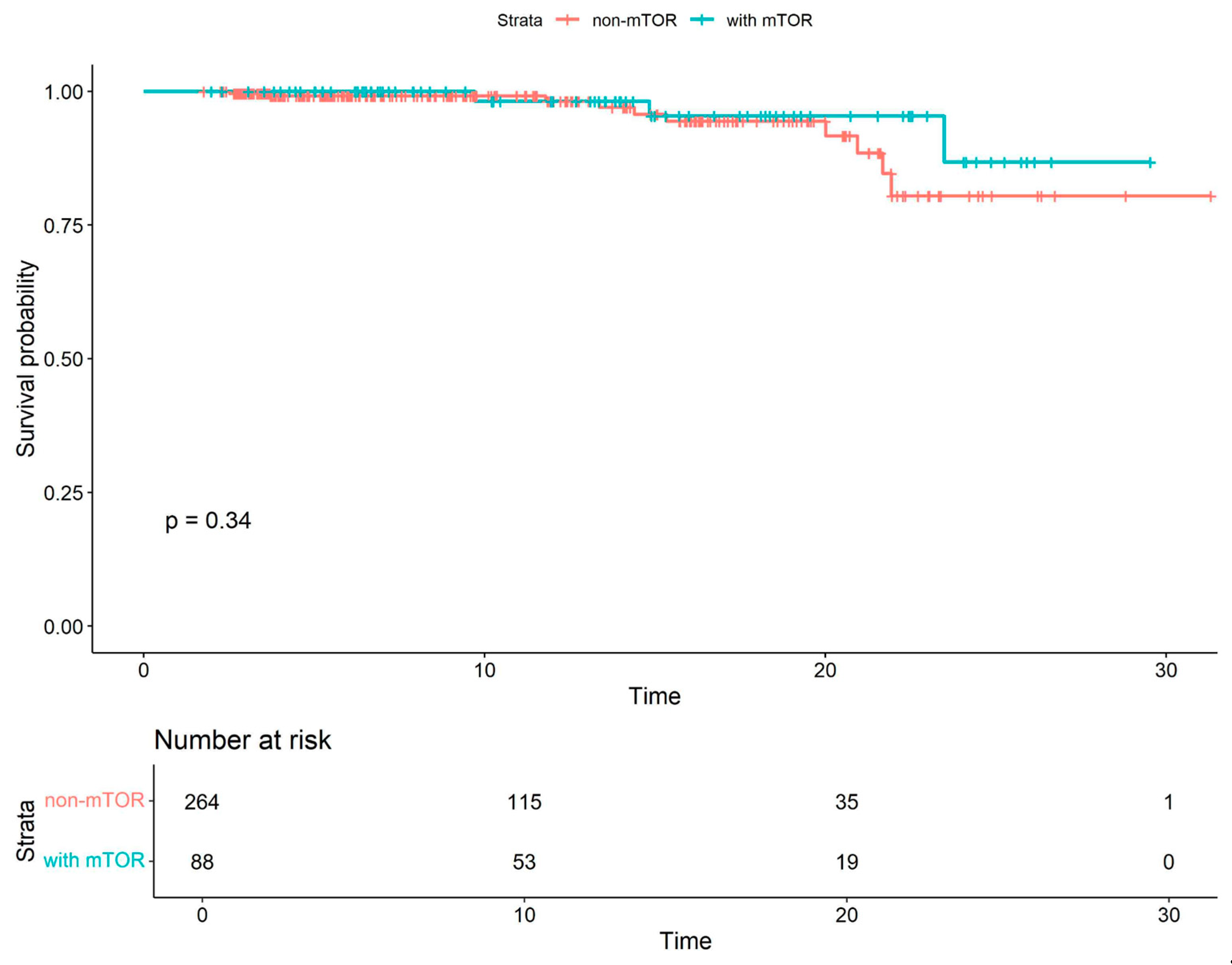 Viruses 18 00029 g002