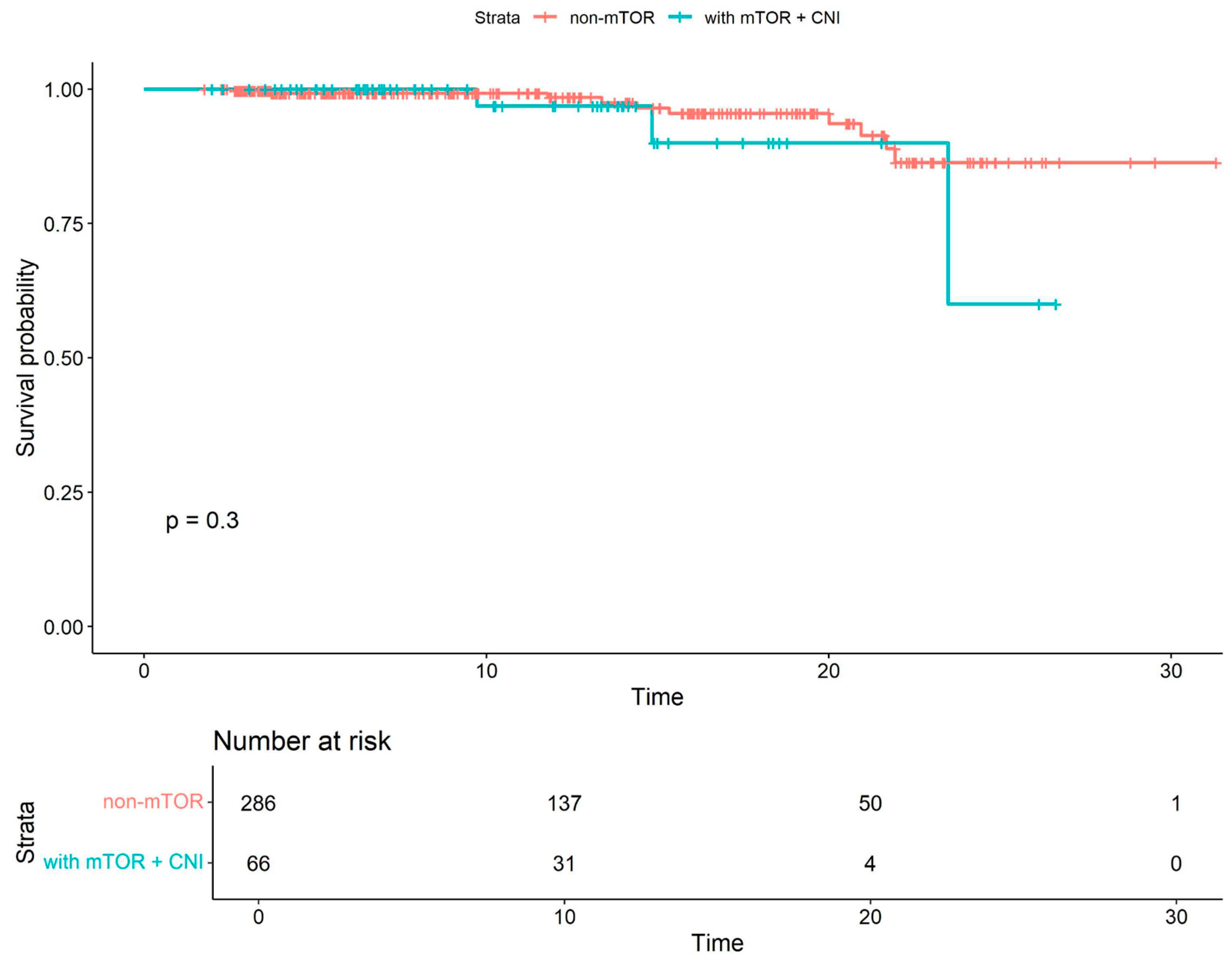 Viruses 18 00029 g004