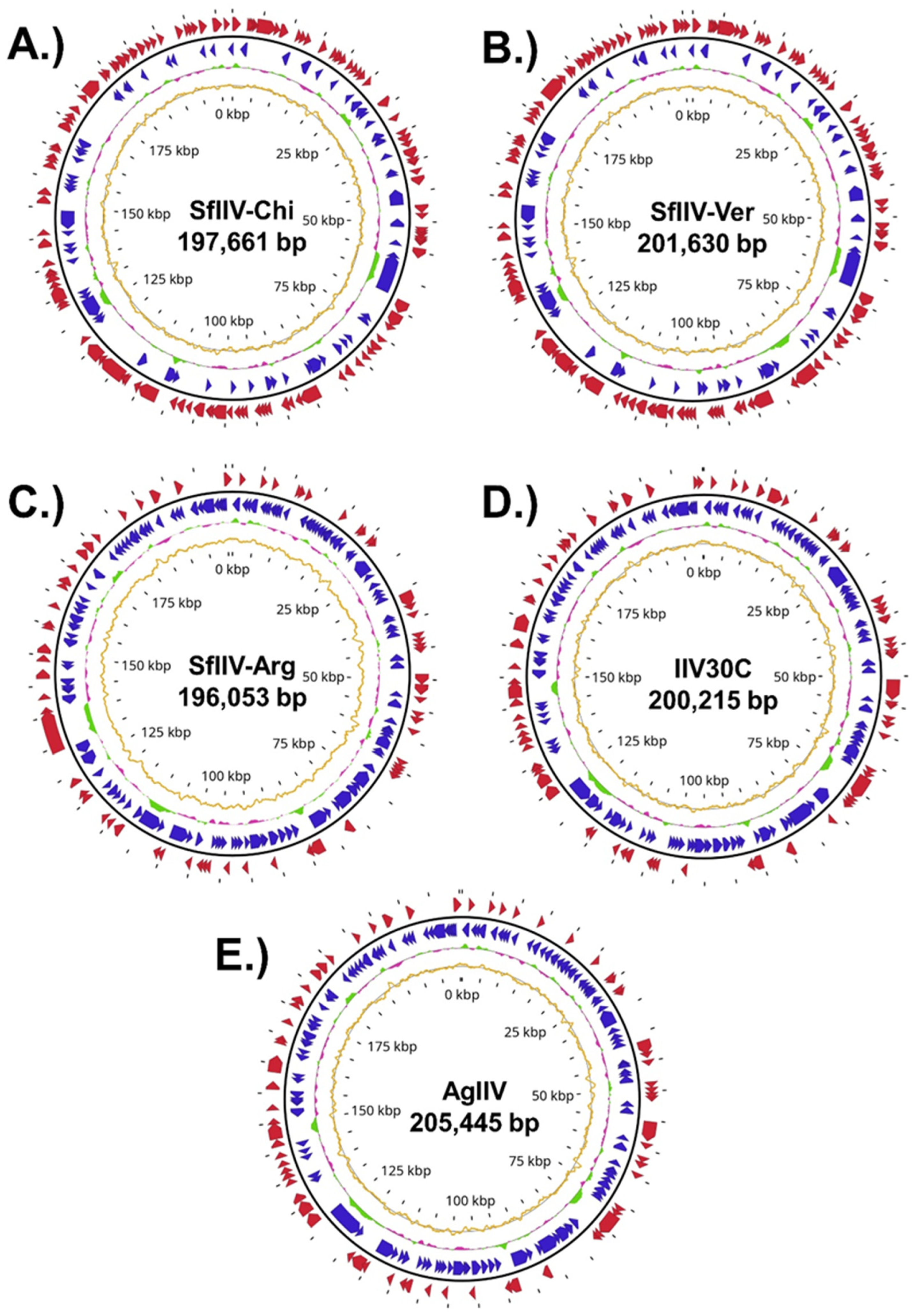 Viruses 18 00031 g005