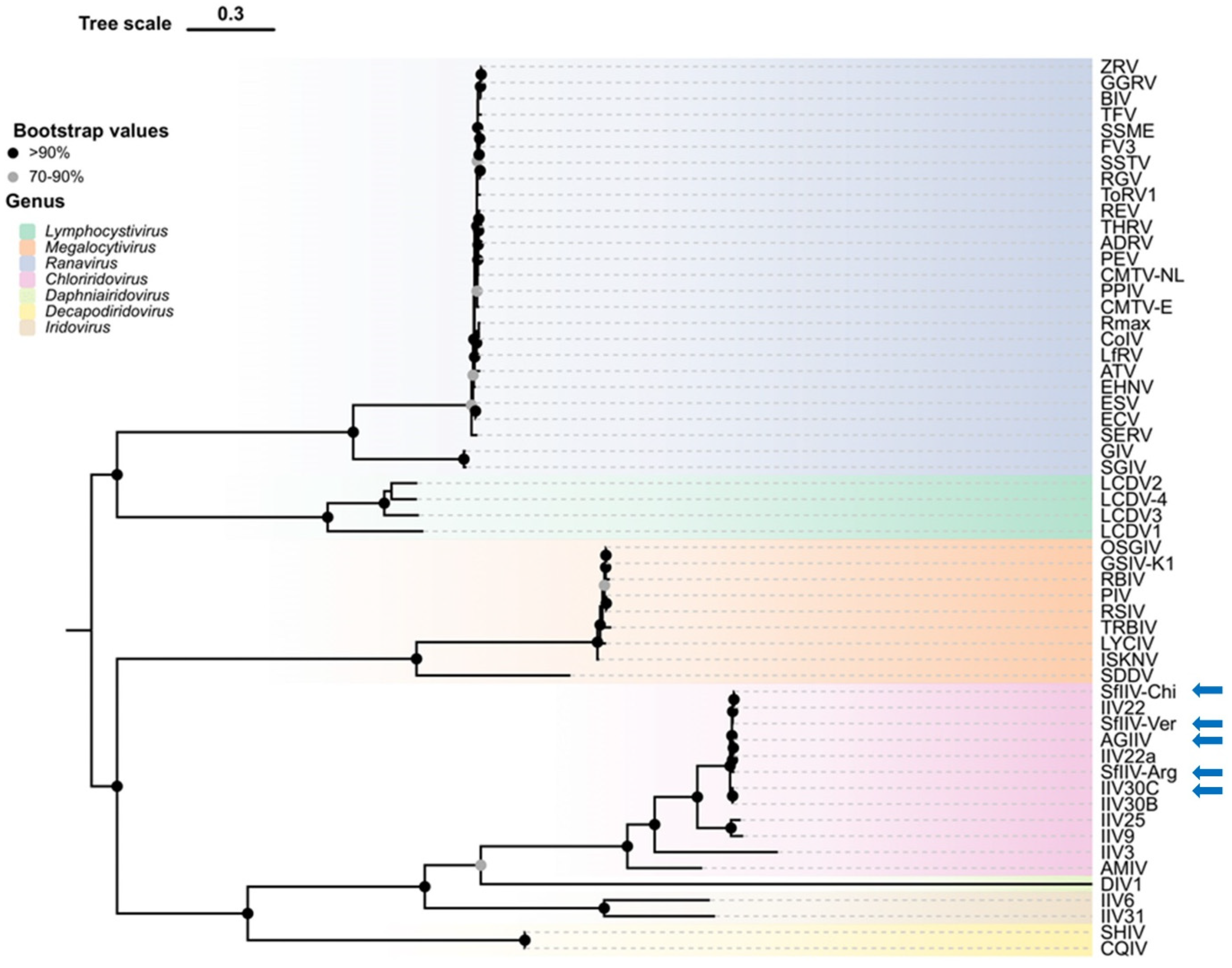 Viruses 18 00031 g008