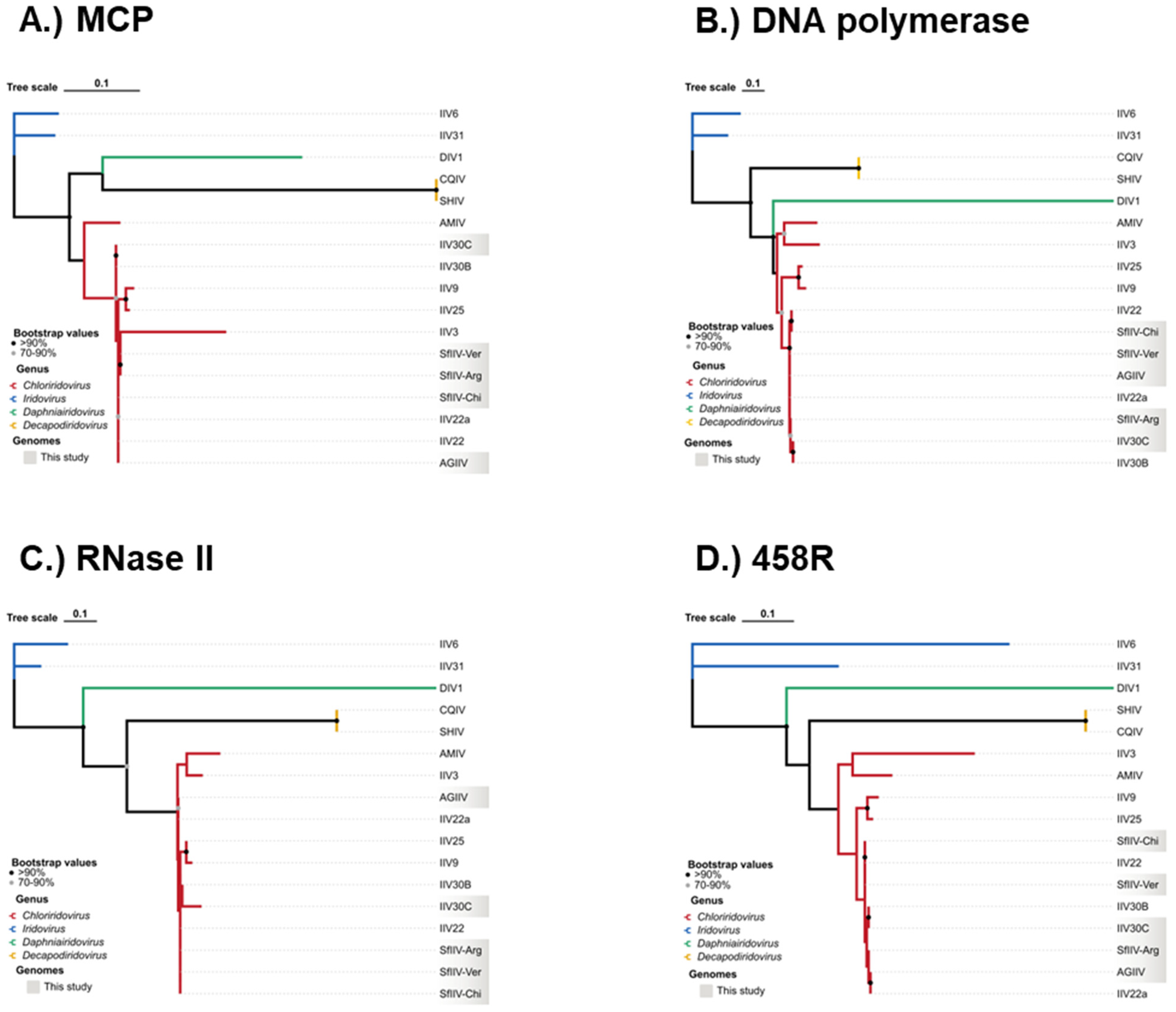 Viruses 18 00031 g009
