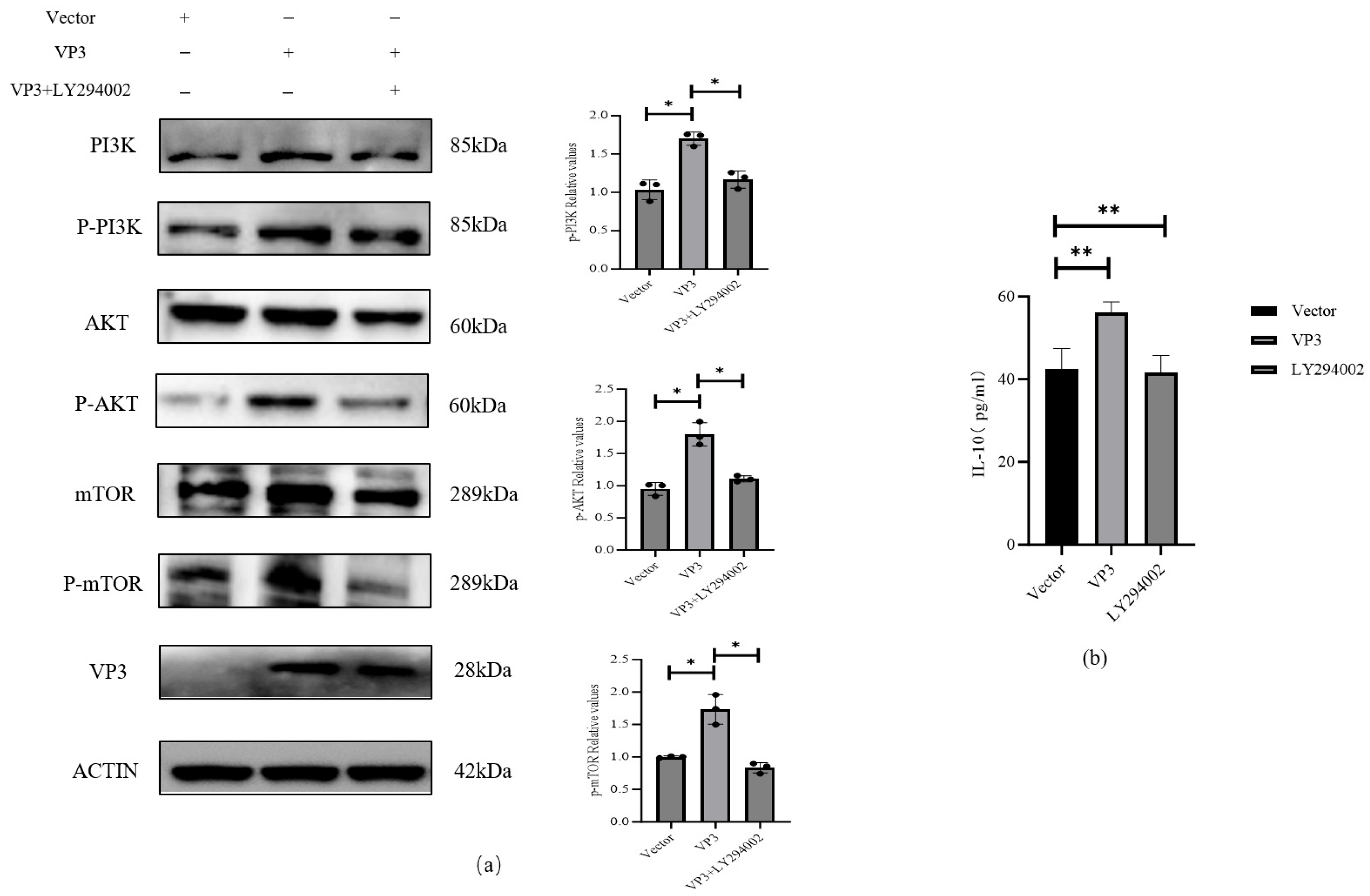 Viruses 18 00066 g003 Viruses 18 00066 g003