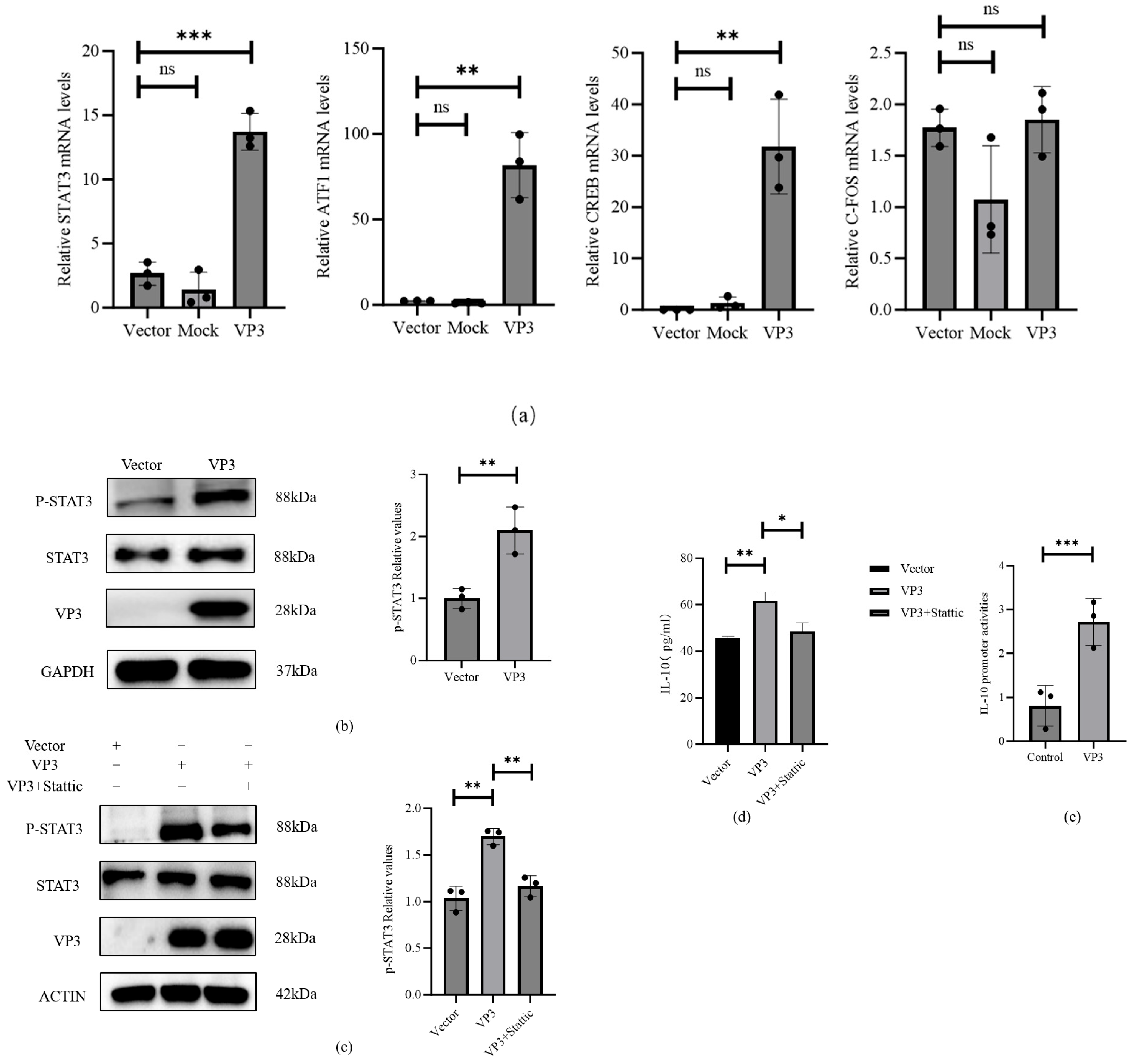 Viruses 18 00066 g005 Viruses 18 00066 g005