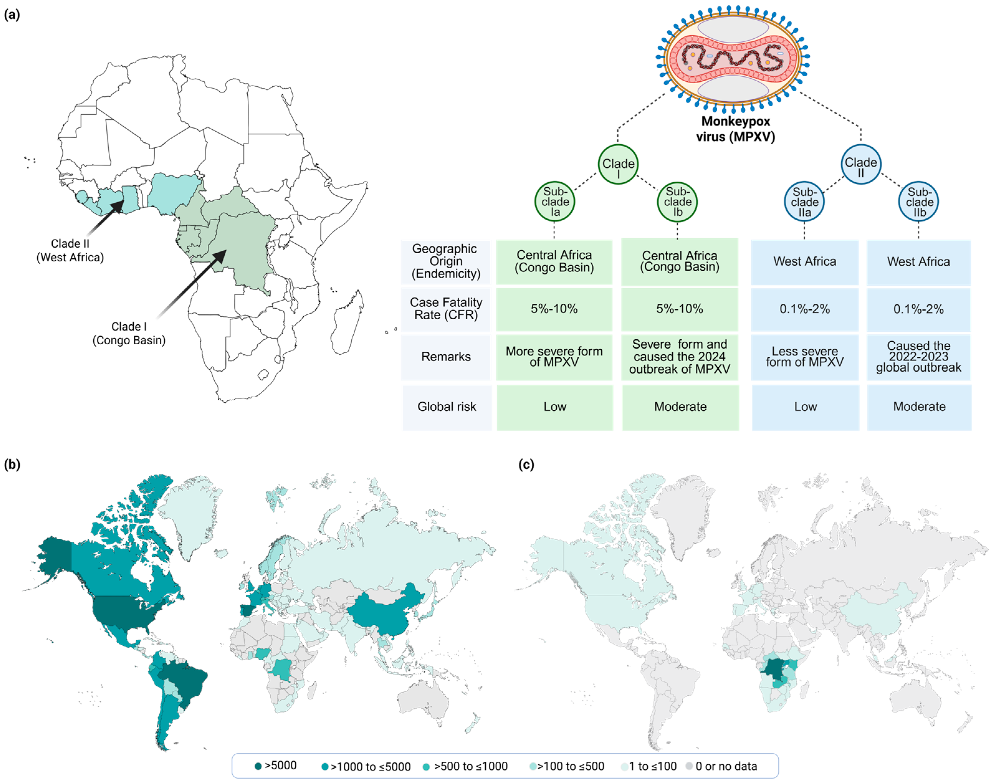 Viruses 18 00069 g002 Viruses 18 00069 g002