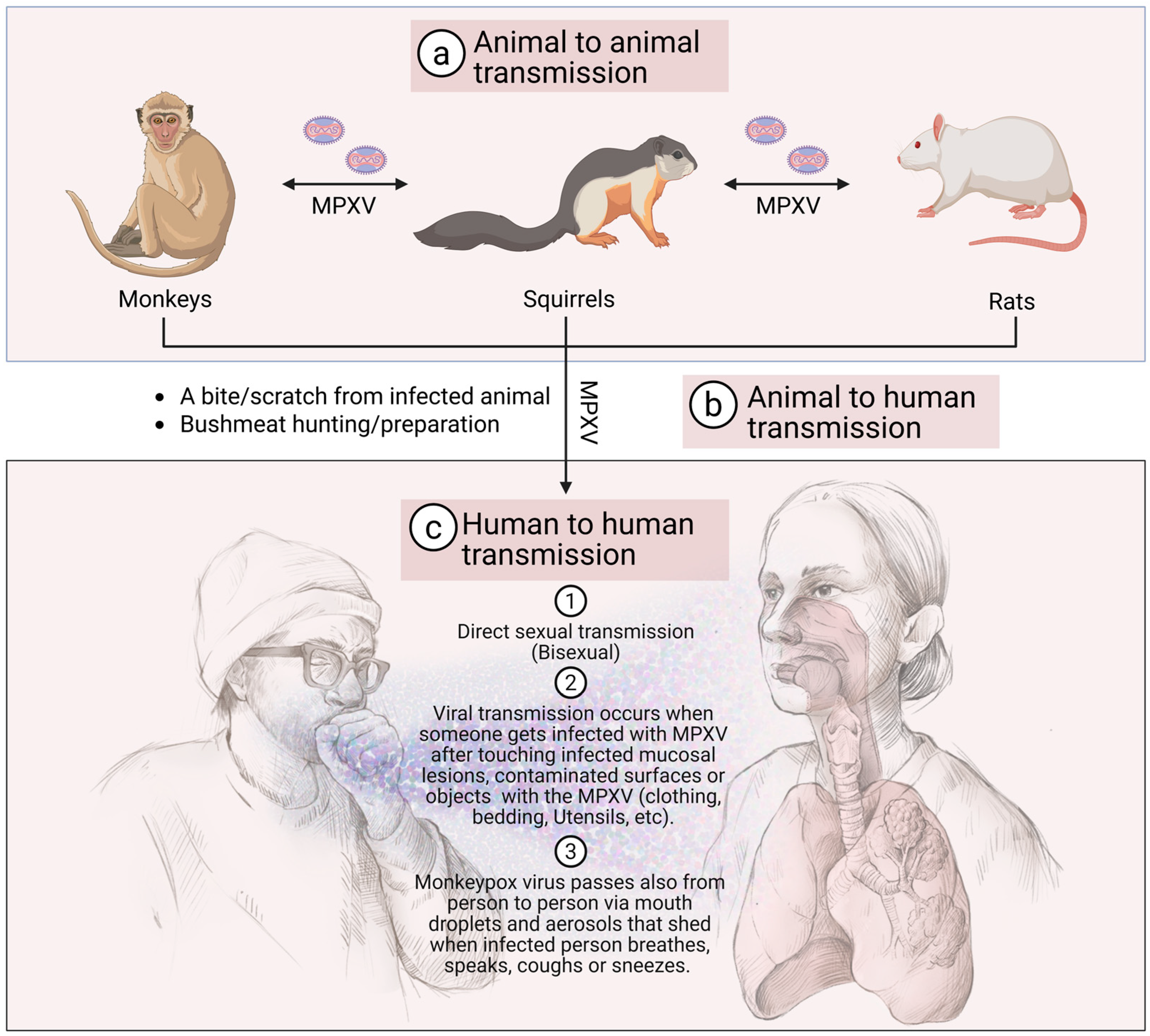 Viruses 18 00069 g006 Viruses 18 00069 g006