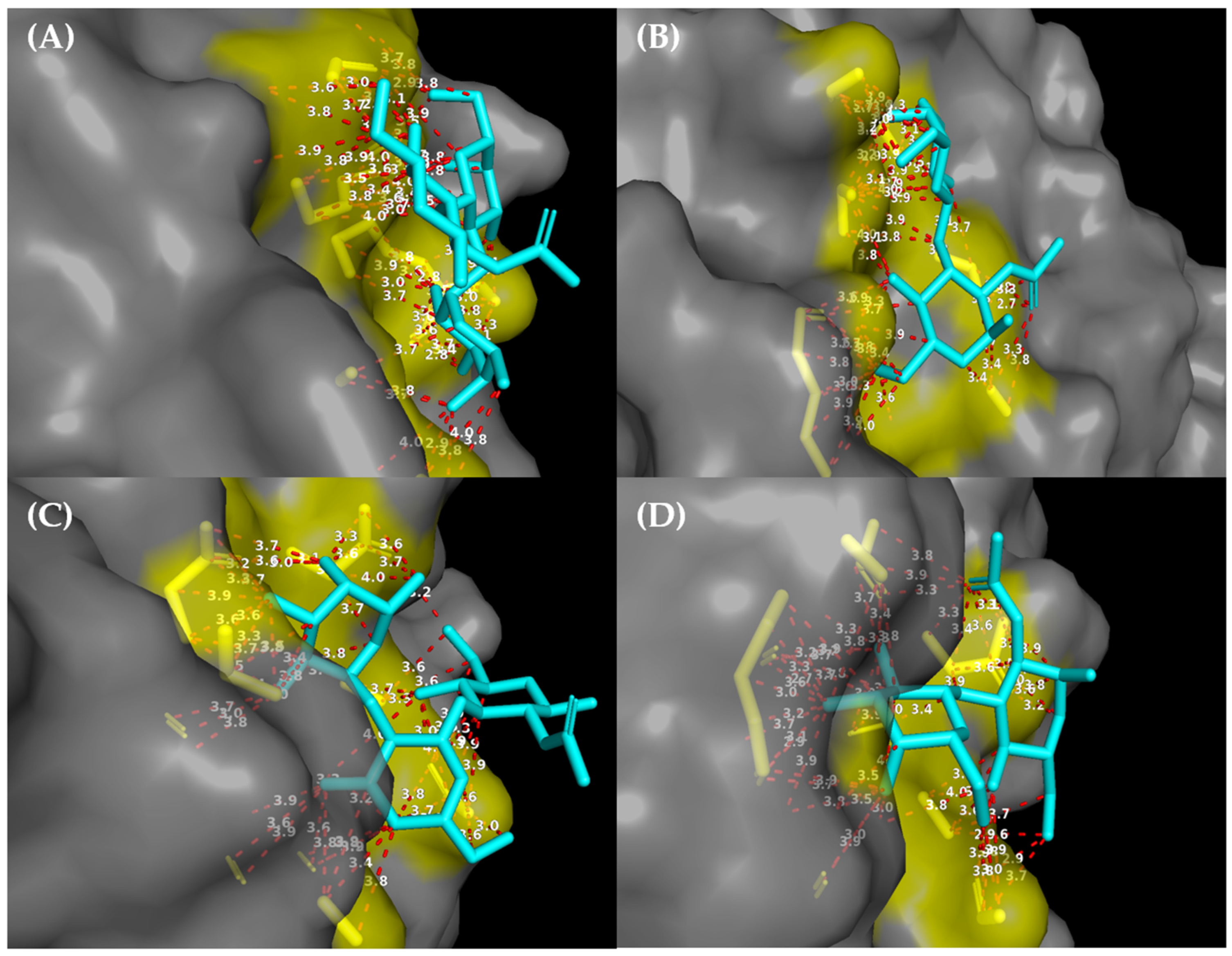Viruses 18 00070 g007 Viruses 18 00070 g007