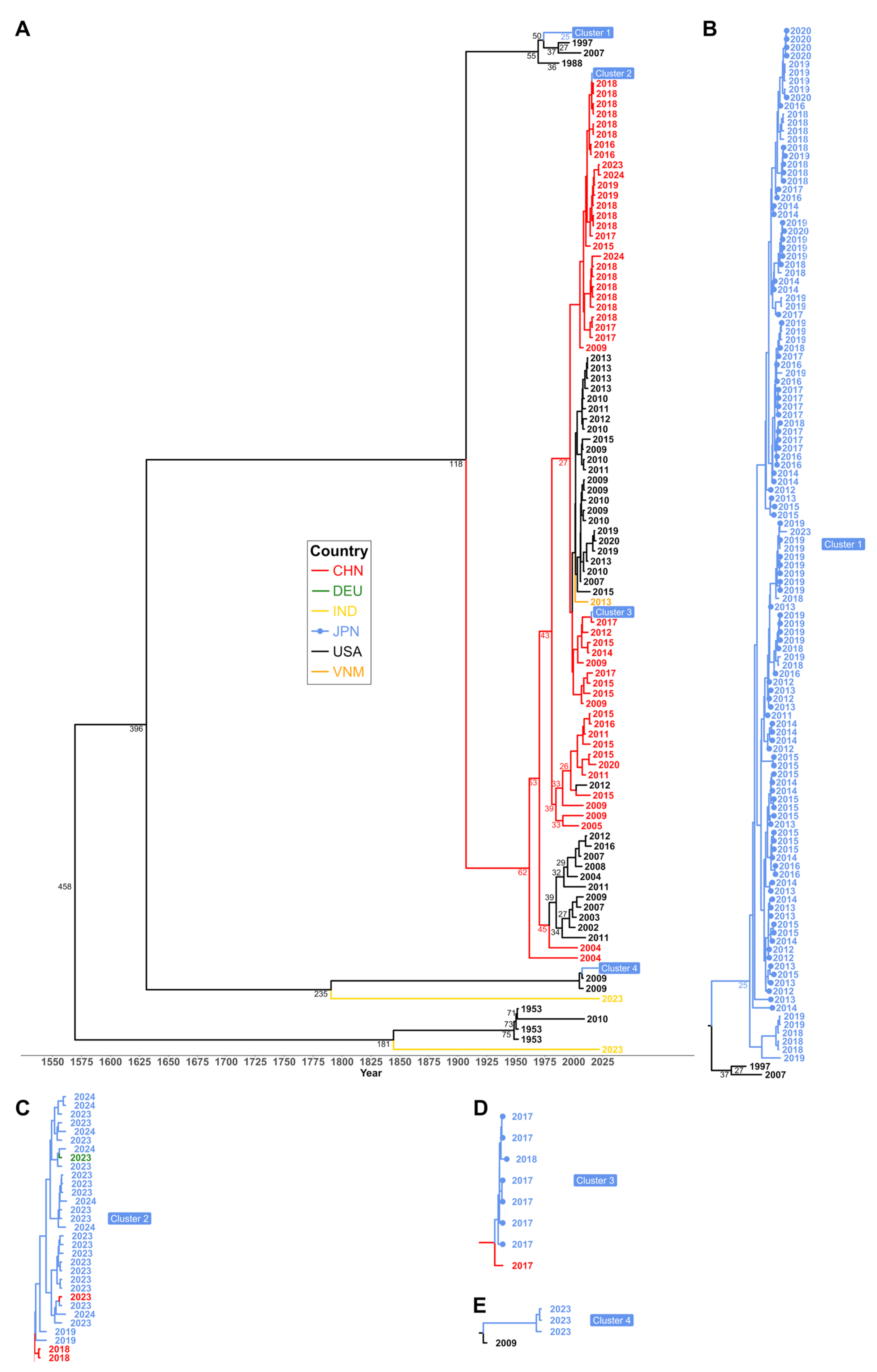 Viruses 18 00074 g003