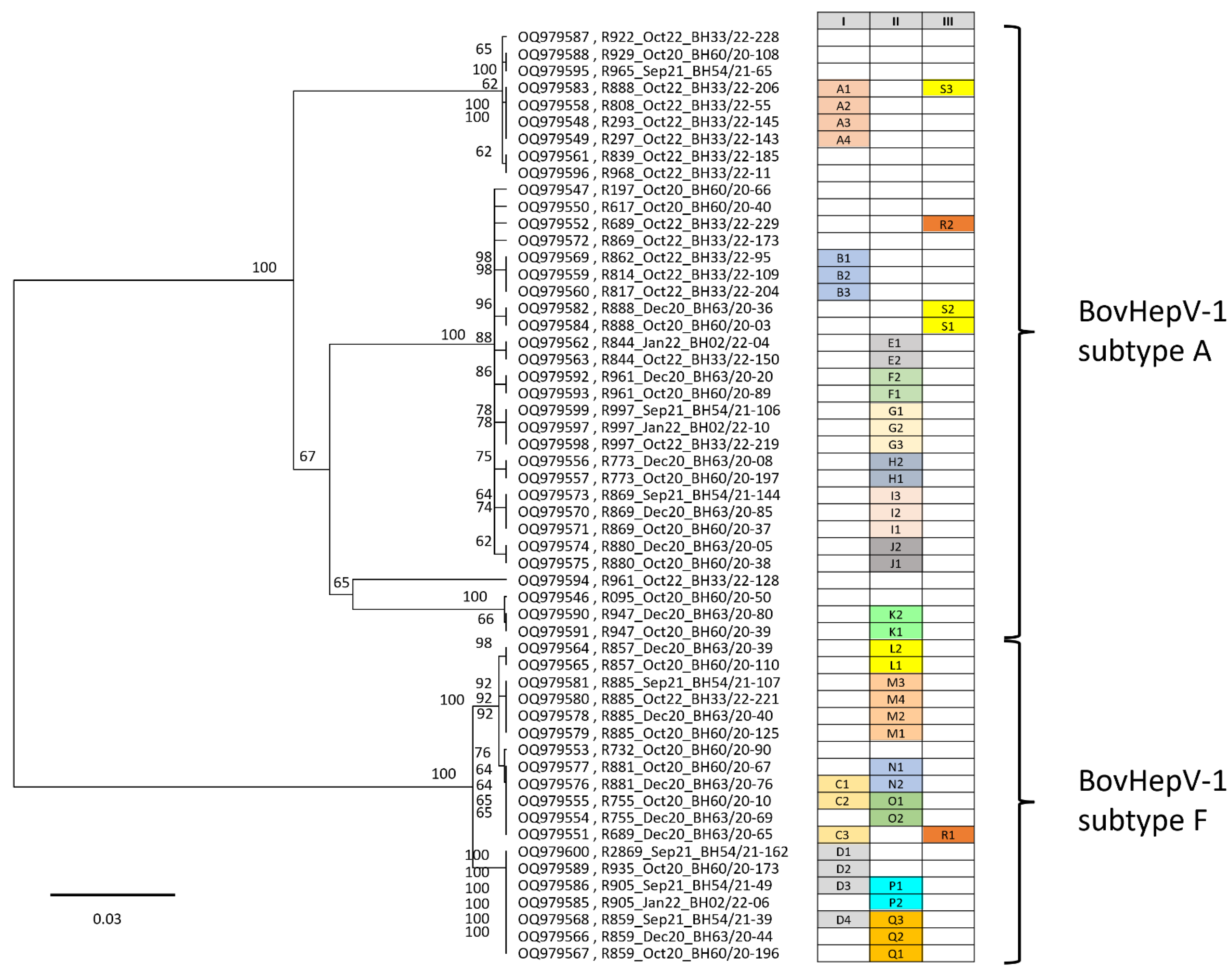 Viruses 18 00078 g002