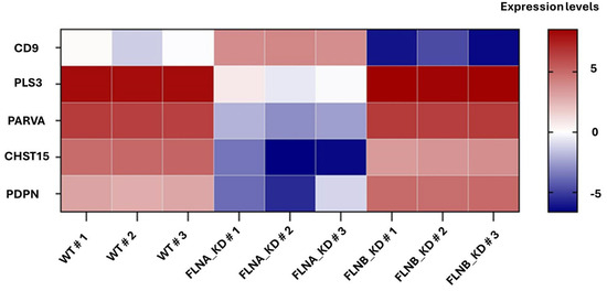 Tetraspanin CD9 Is a Positive Regulator of Filovirus Egress