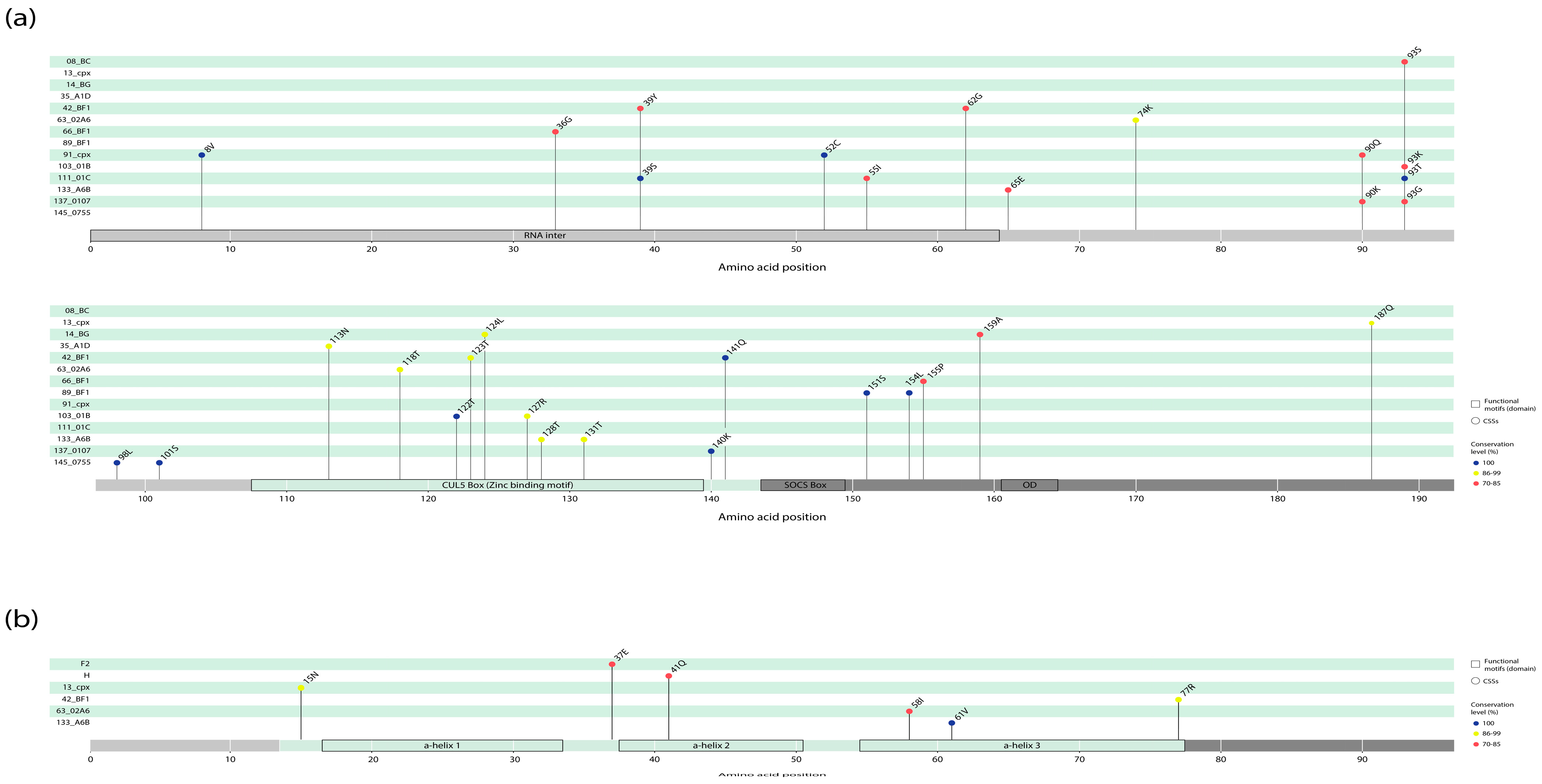 Viruses 18 00116 g003
