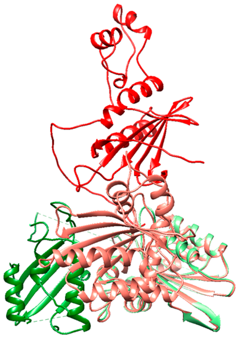 Viruses 18 00116 g004