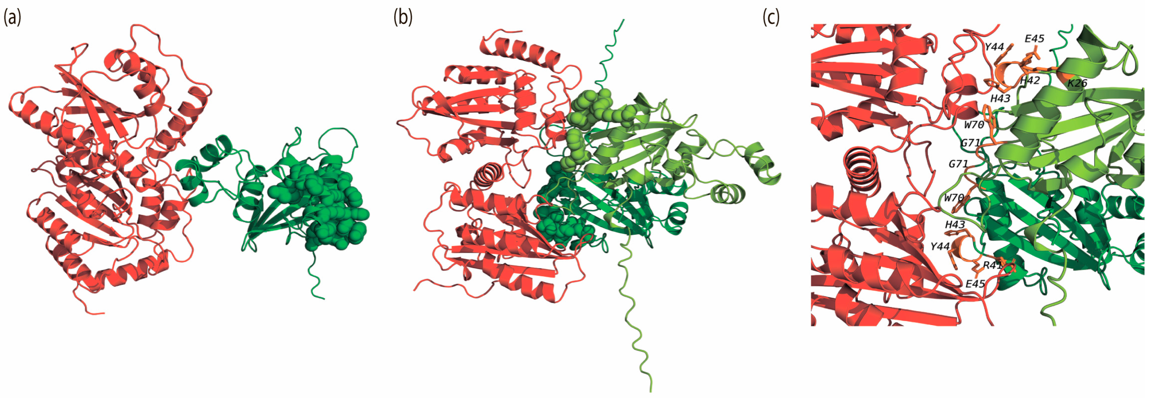 Viruses 18 00116 g005