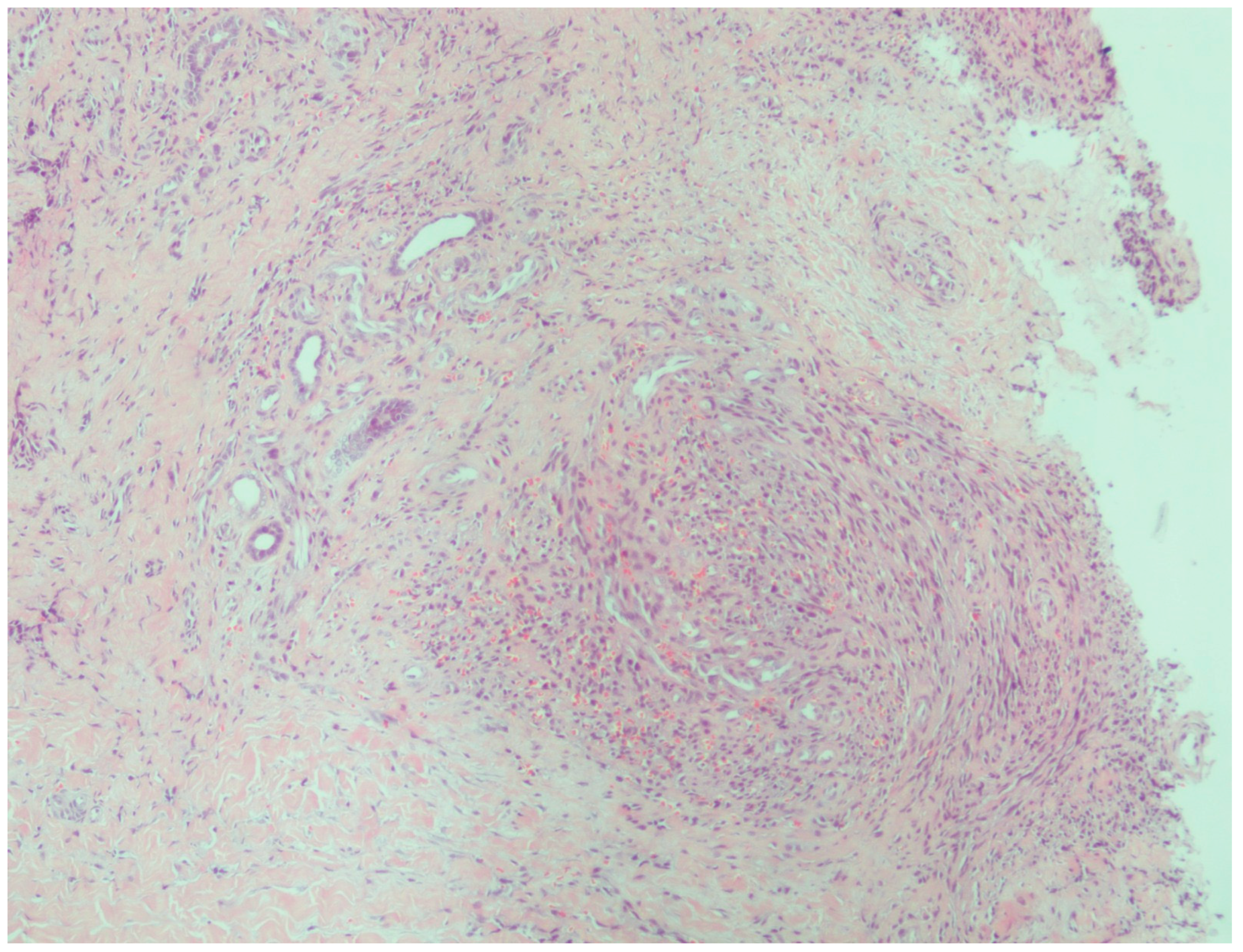 Viruses 18 00144 g003 Viruses 18 00144 g003