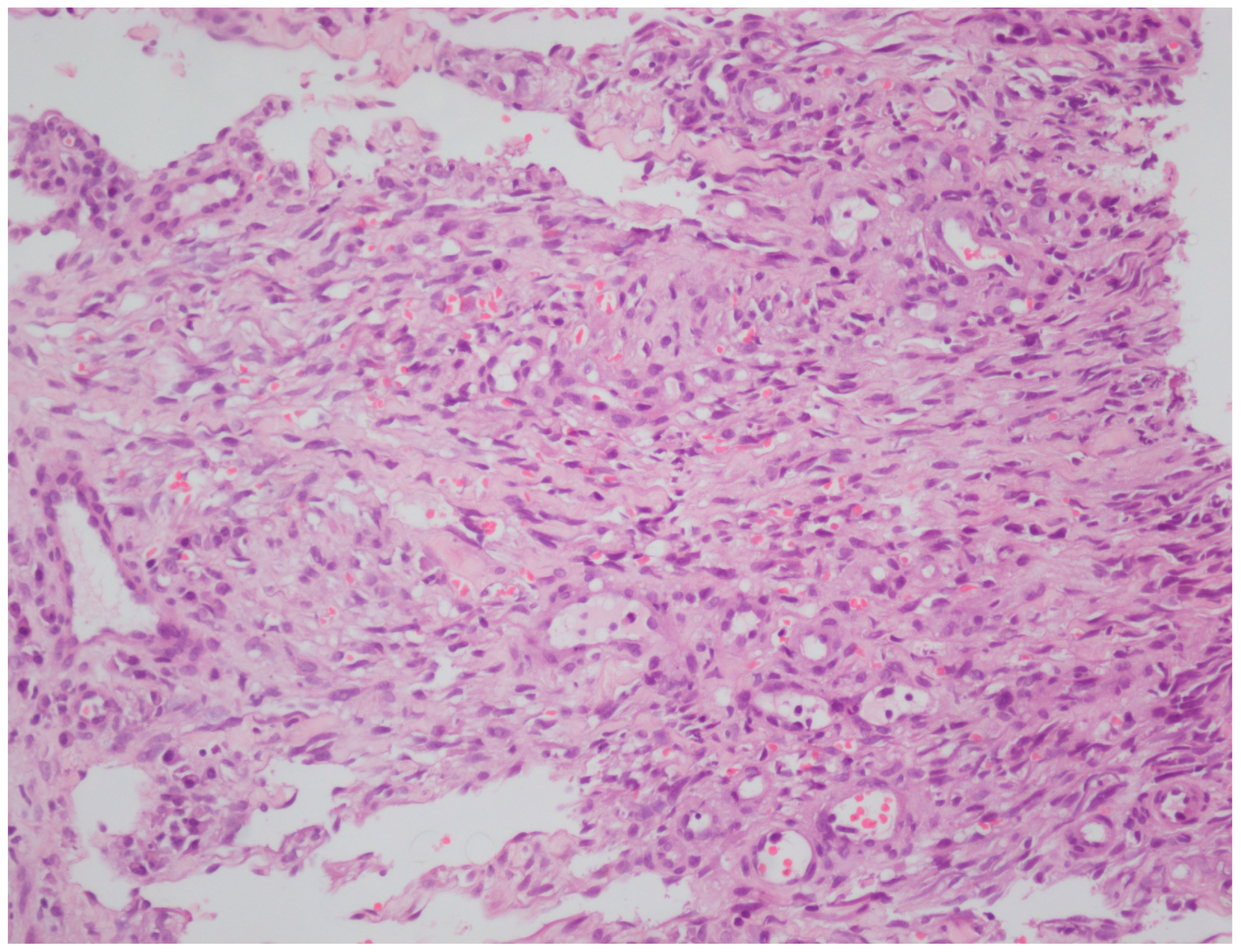 Viruses 18 00144 g004 Viruses 18 00144 g004