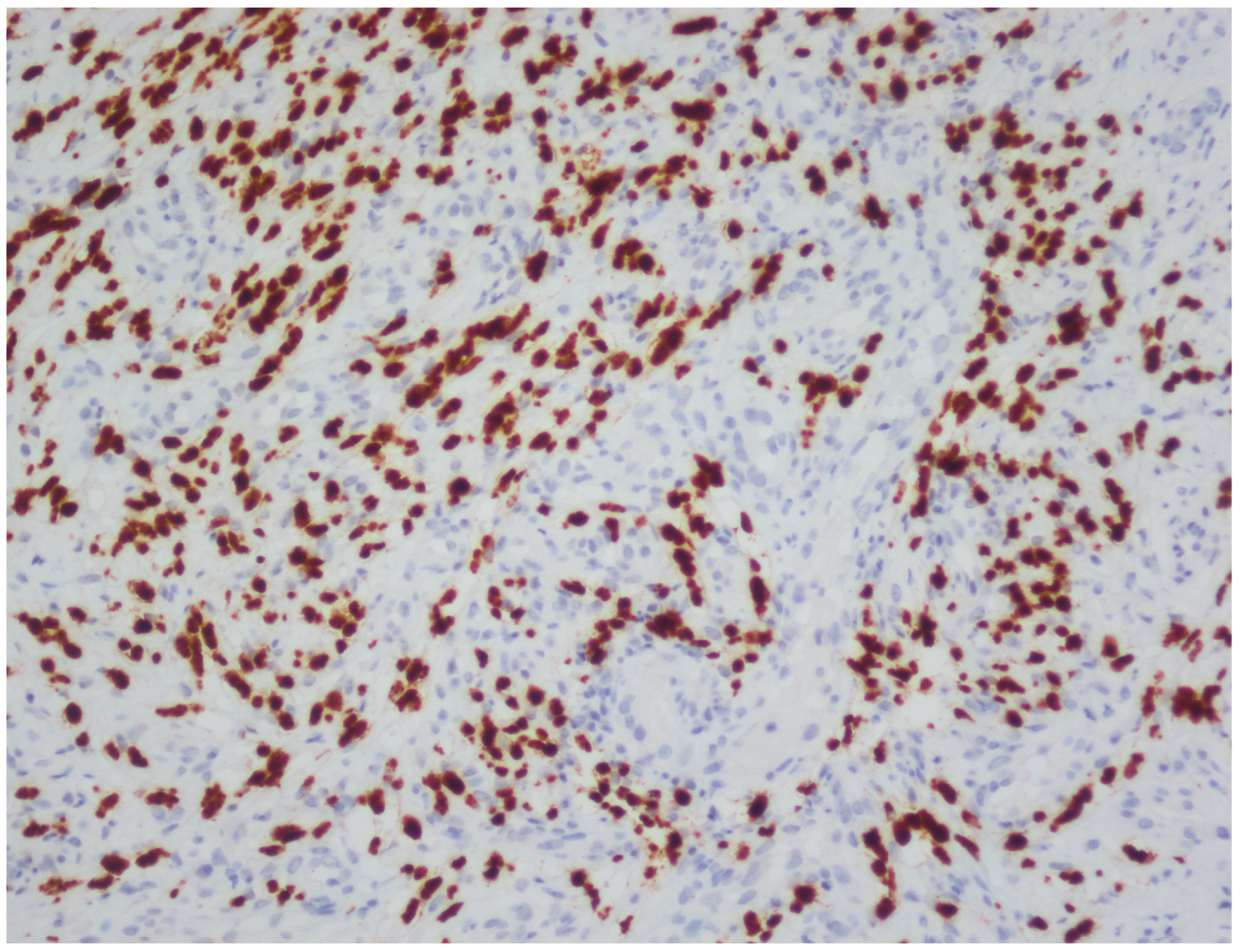 Viruses 18 00144 g005 Viruses 18 00144 g005