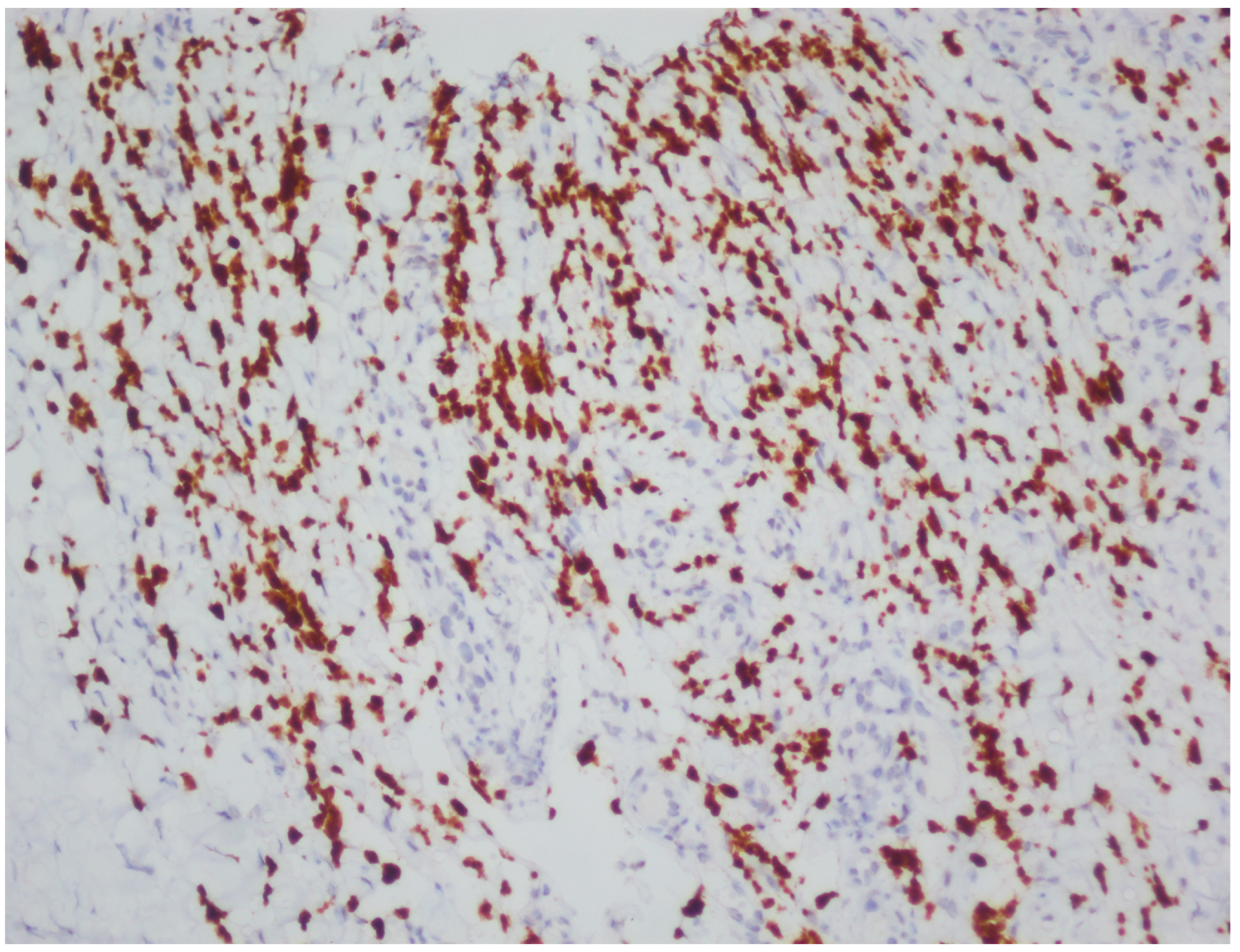 Viruses 18 00144 g006 Viruses 18 00144 g006