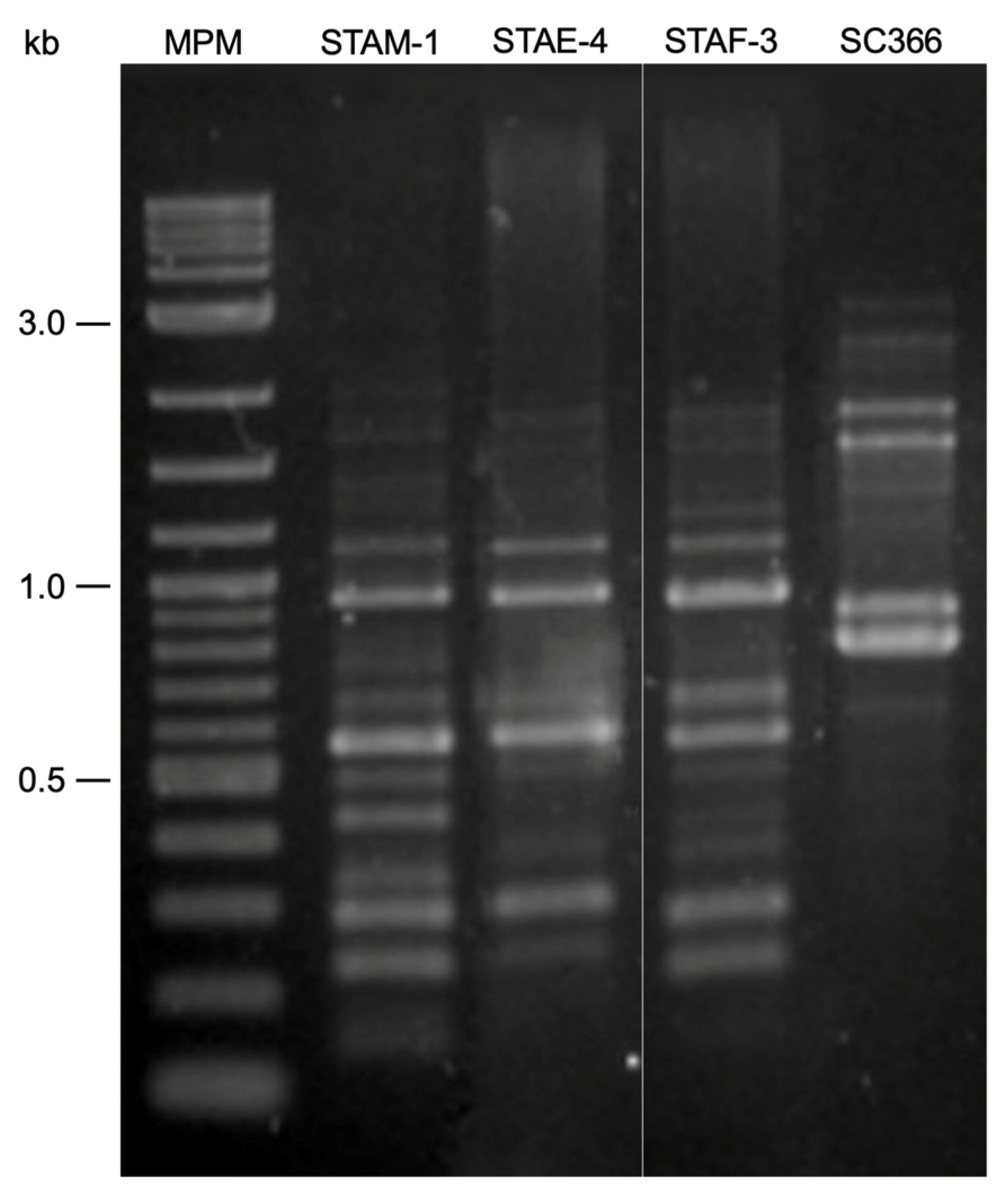 Viruses 18 00146 g002 Viruses 18 00146 g002