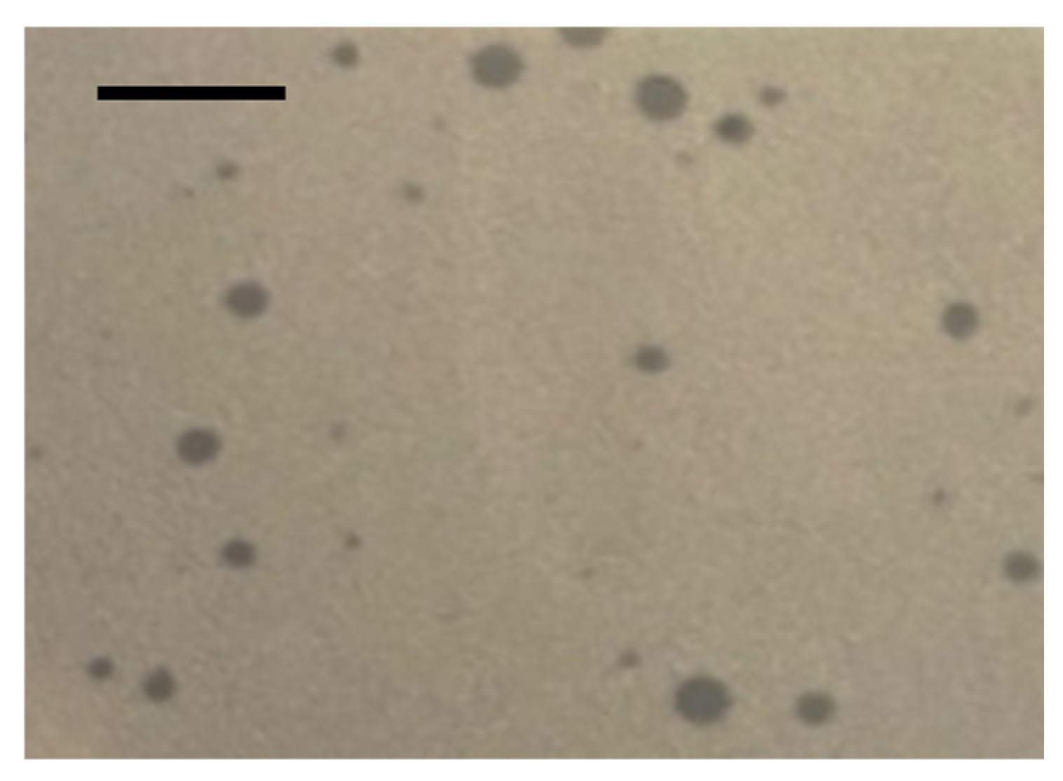 Viruses 18 00146 g004 Viruses 18 00146 g004