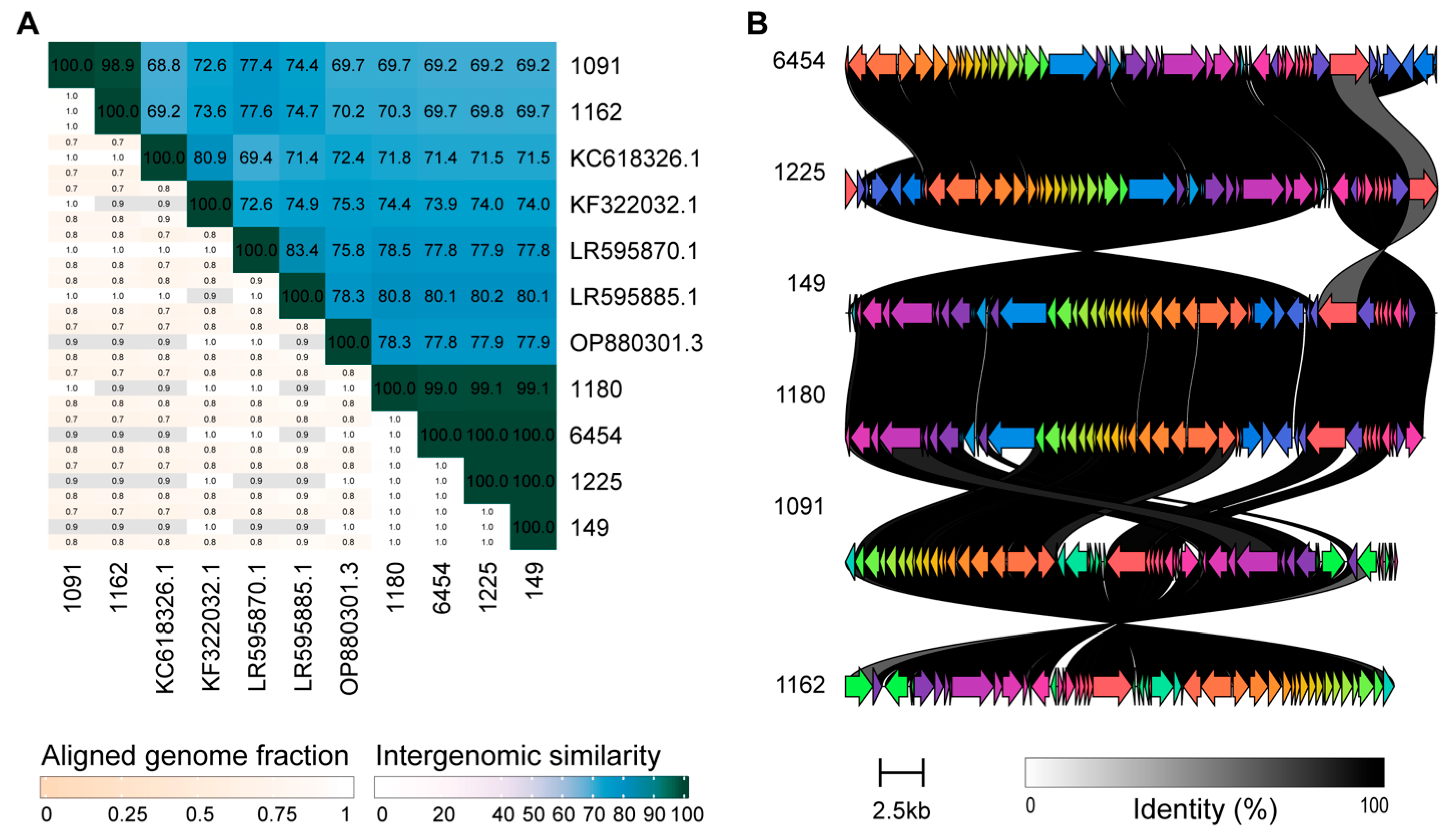 Viruses 18 00179 g003 Viruses 18 00179 g003