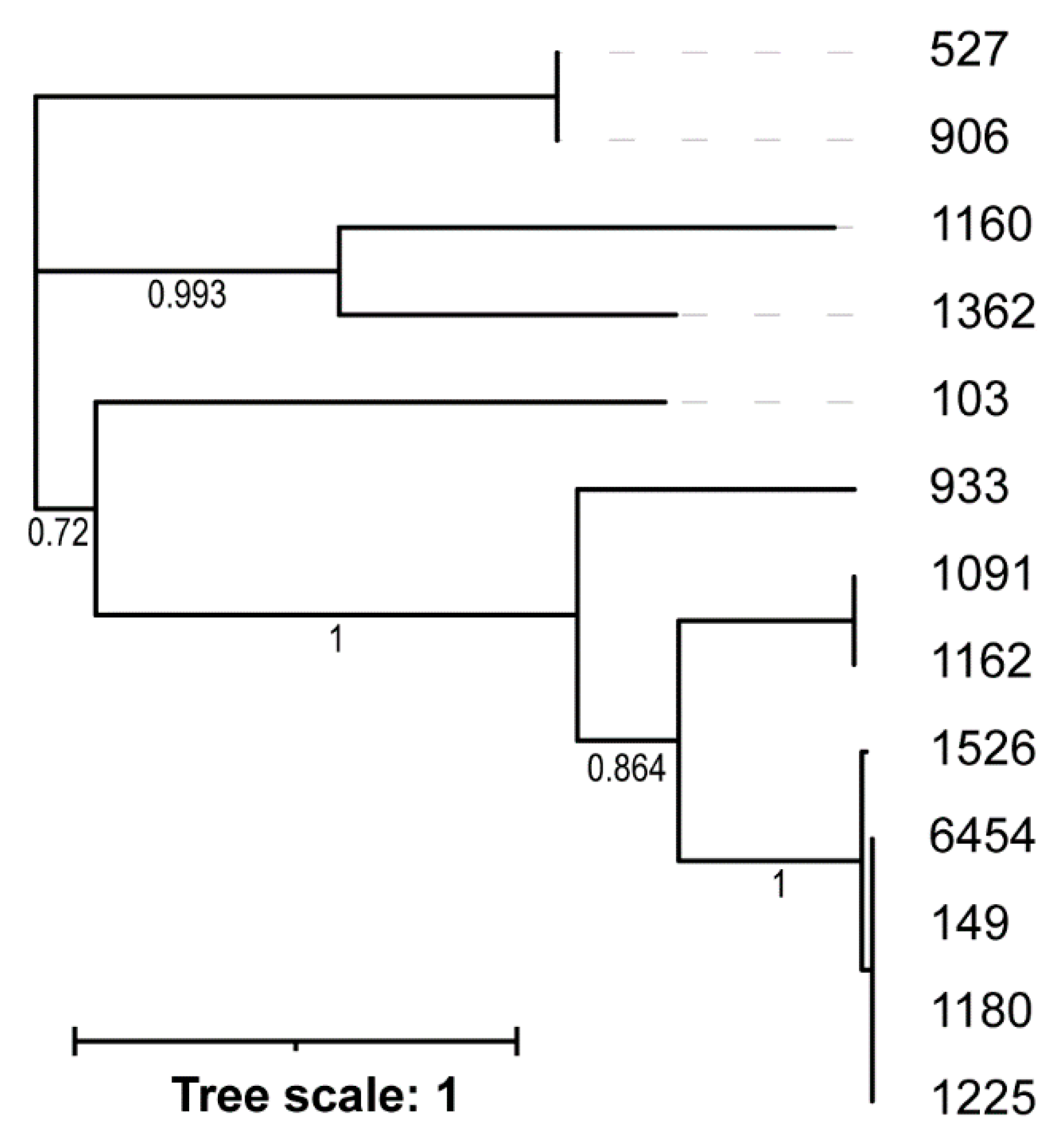 Viruses 18 00179 g004 Viruses 18 00179 g004