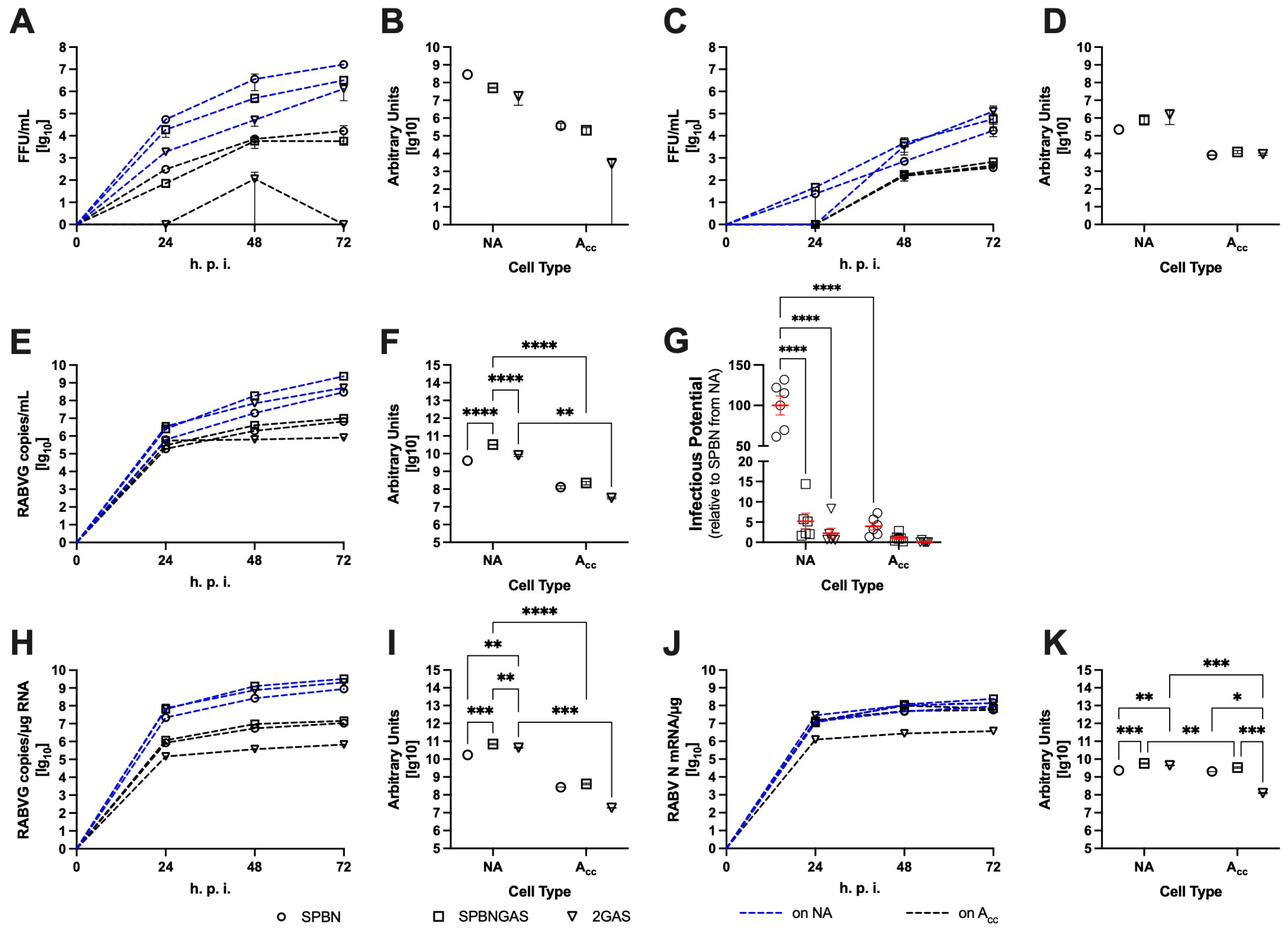 Viruses 18 00181 g0a3 Viruses 18 00181 g0a3