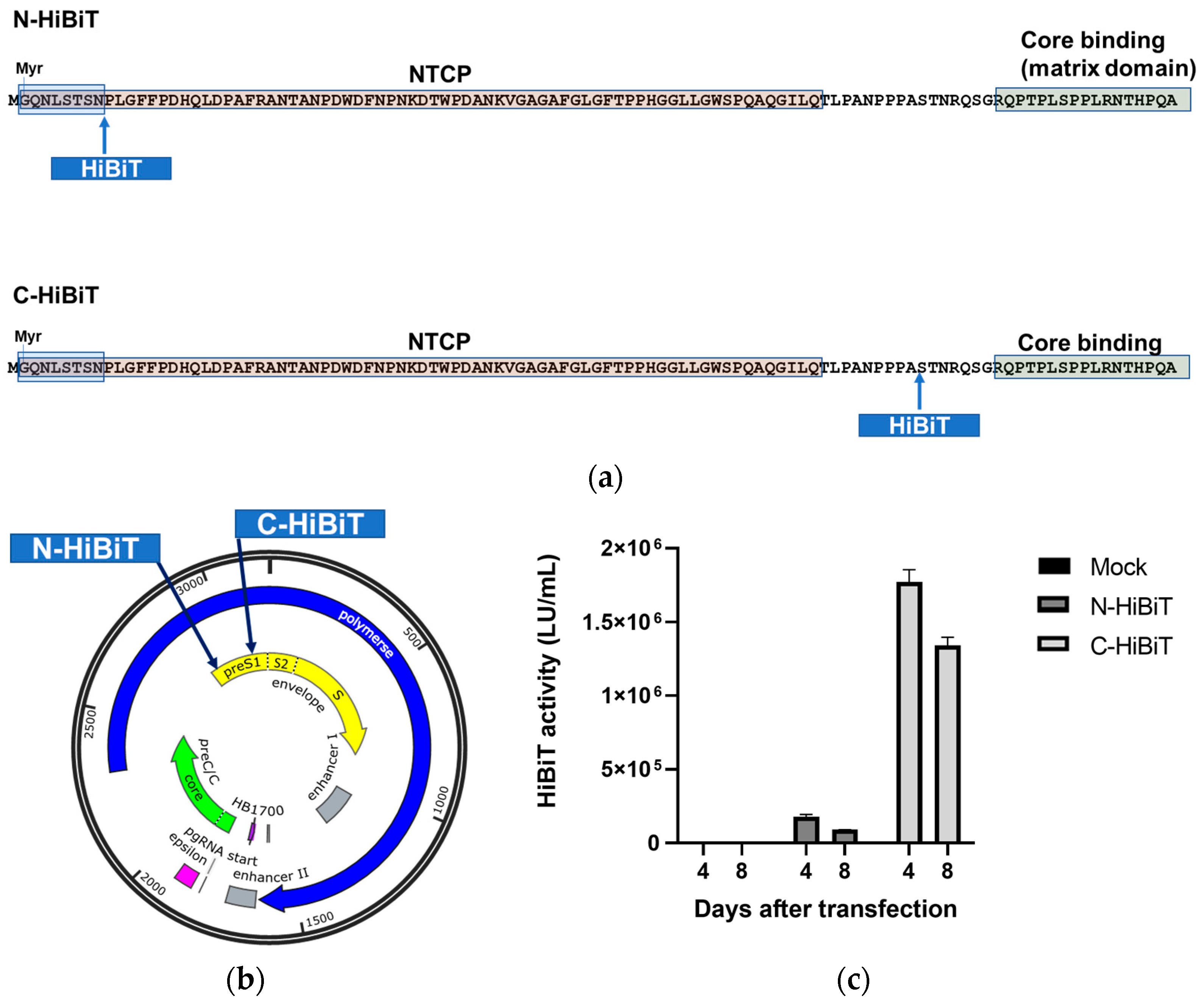Viruses 18 00187 g001