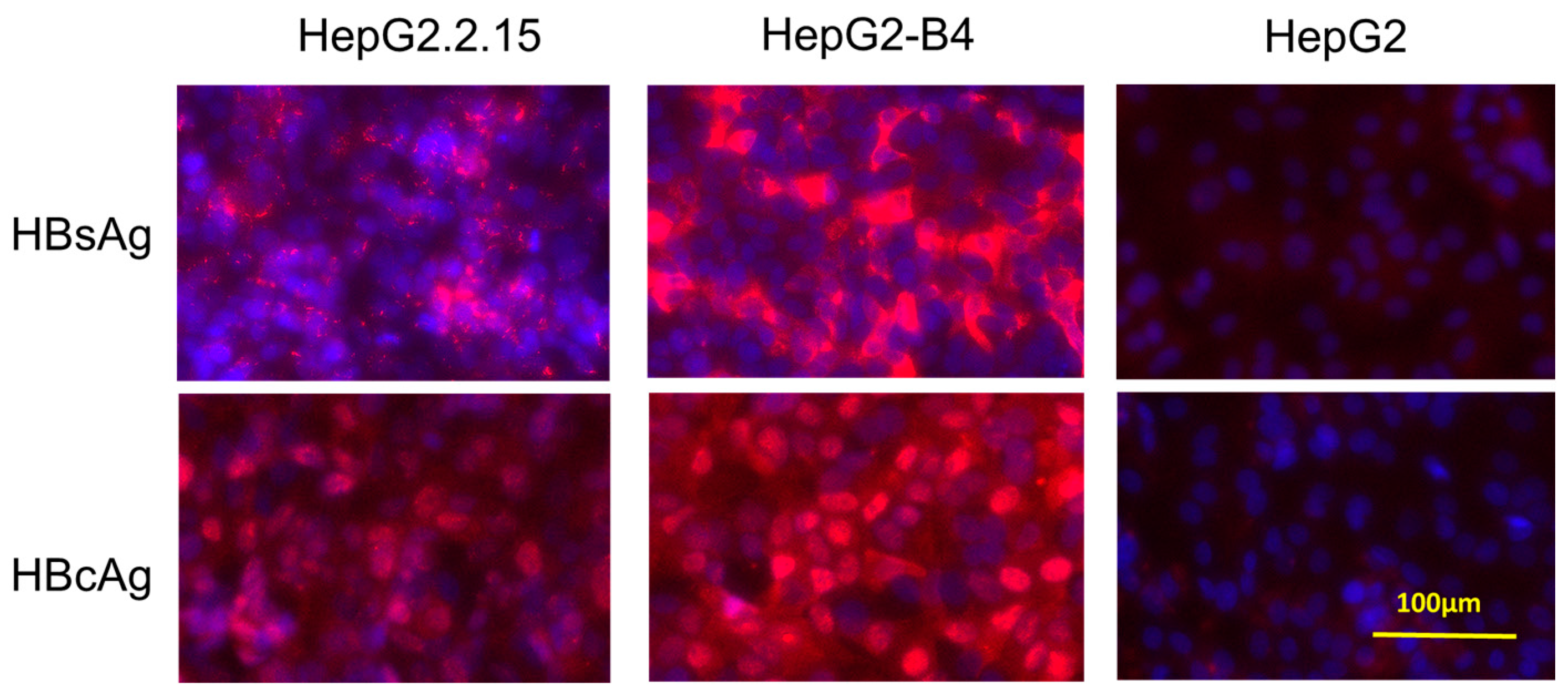 Viruses 18 00187 g006