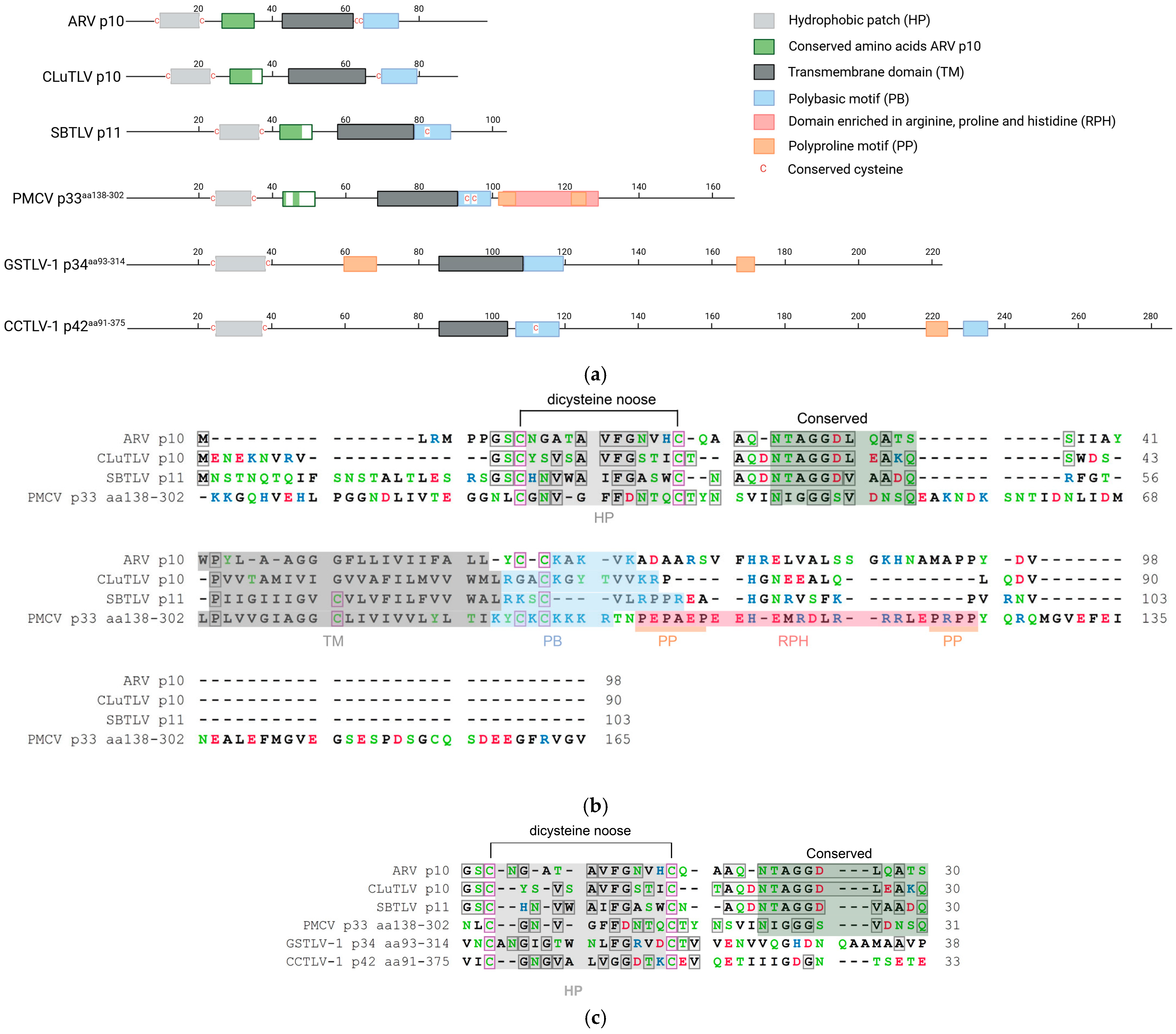 Viruses 18 00193 g001