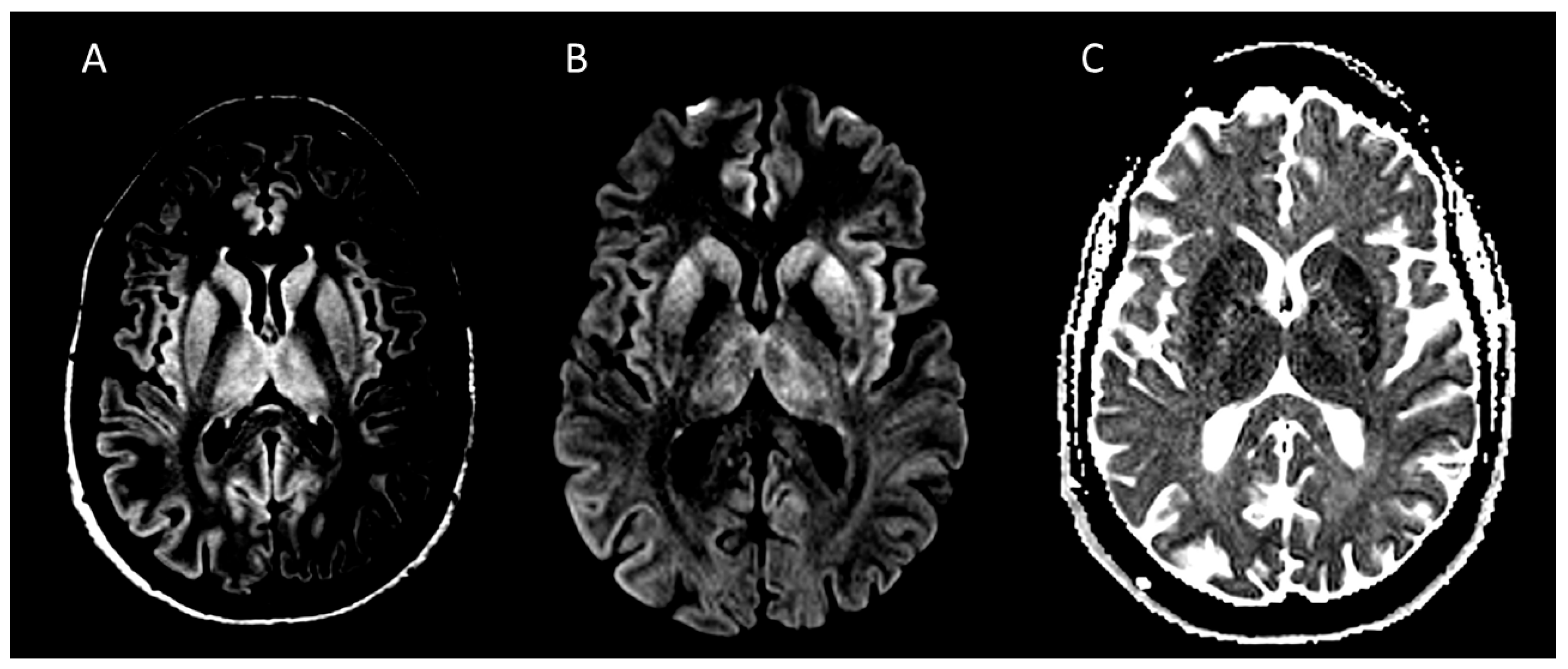 Viruses 18 00216 g002