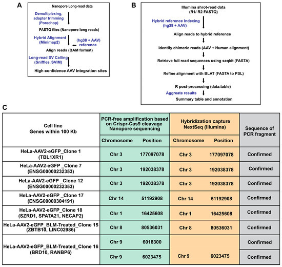 Development of a Novel Method to Detect AAV Vector Integration