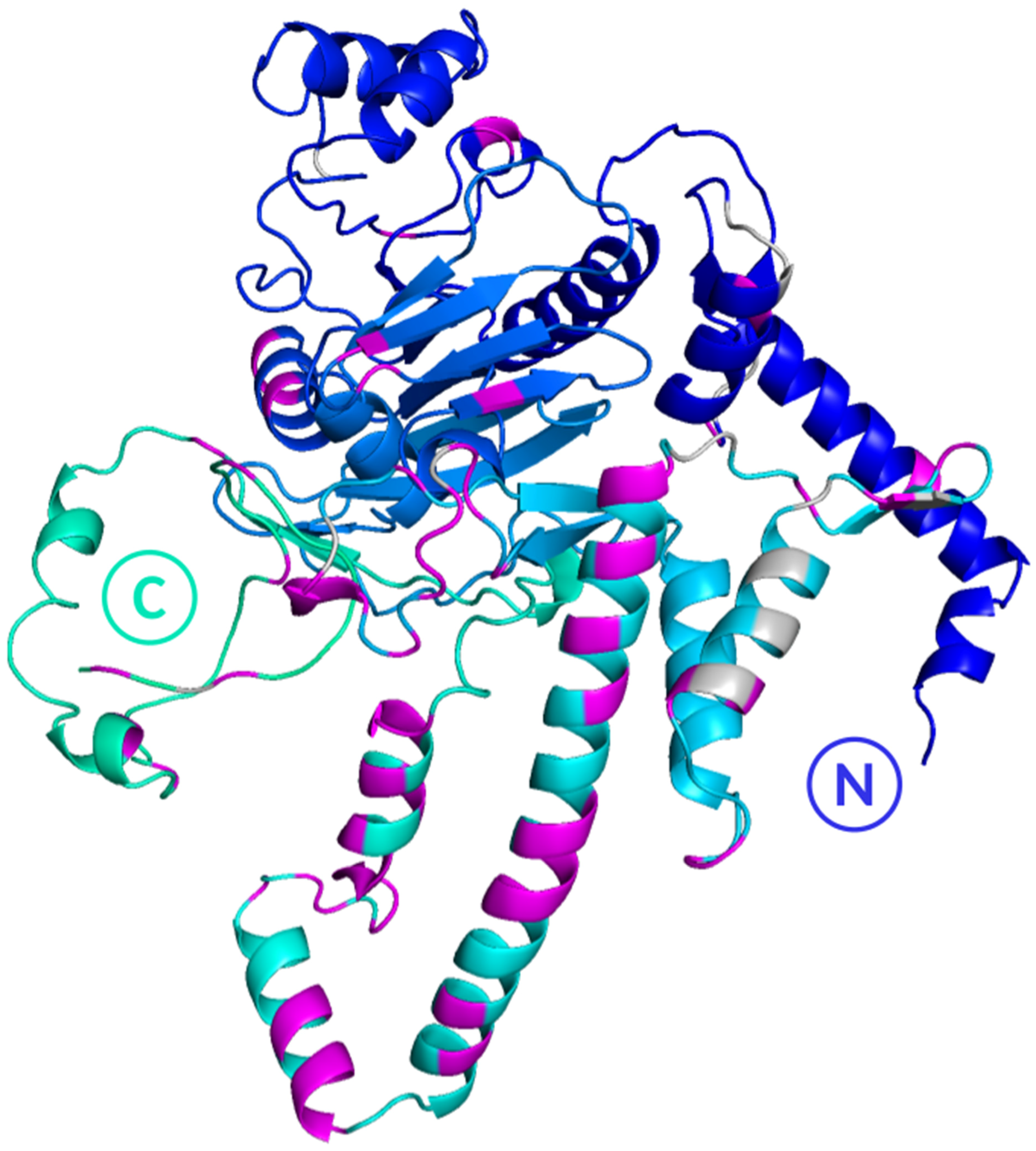 Viruses 18 00341 g007 Viruses 18 00341 g007