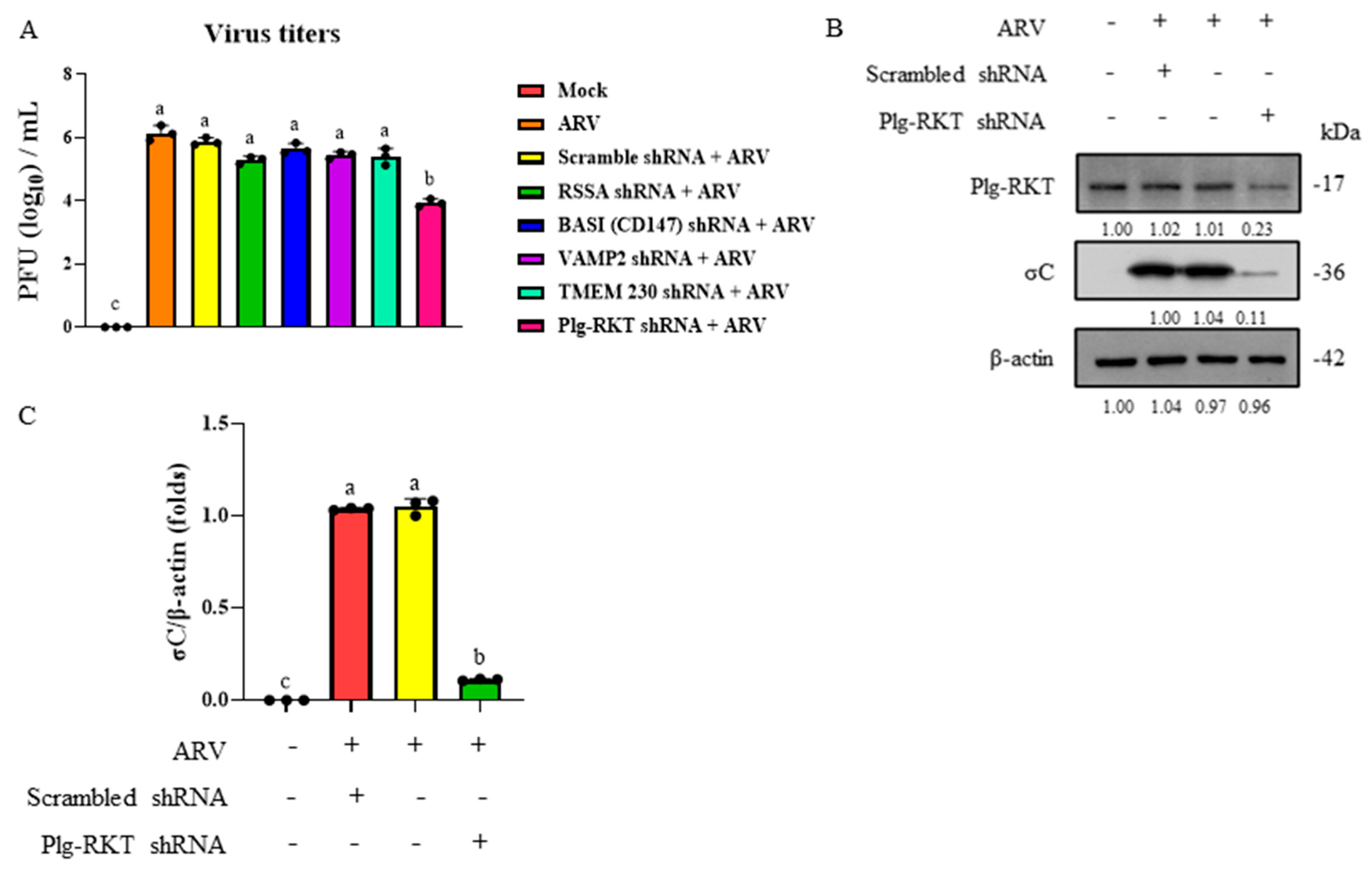 Viruses 18 00350 g002