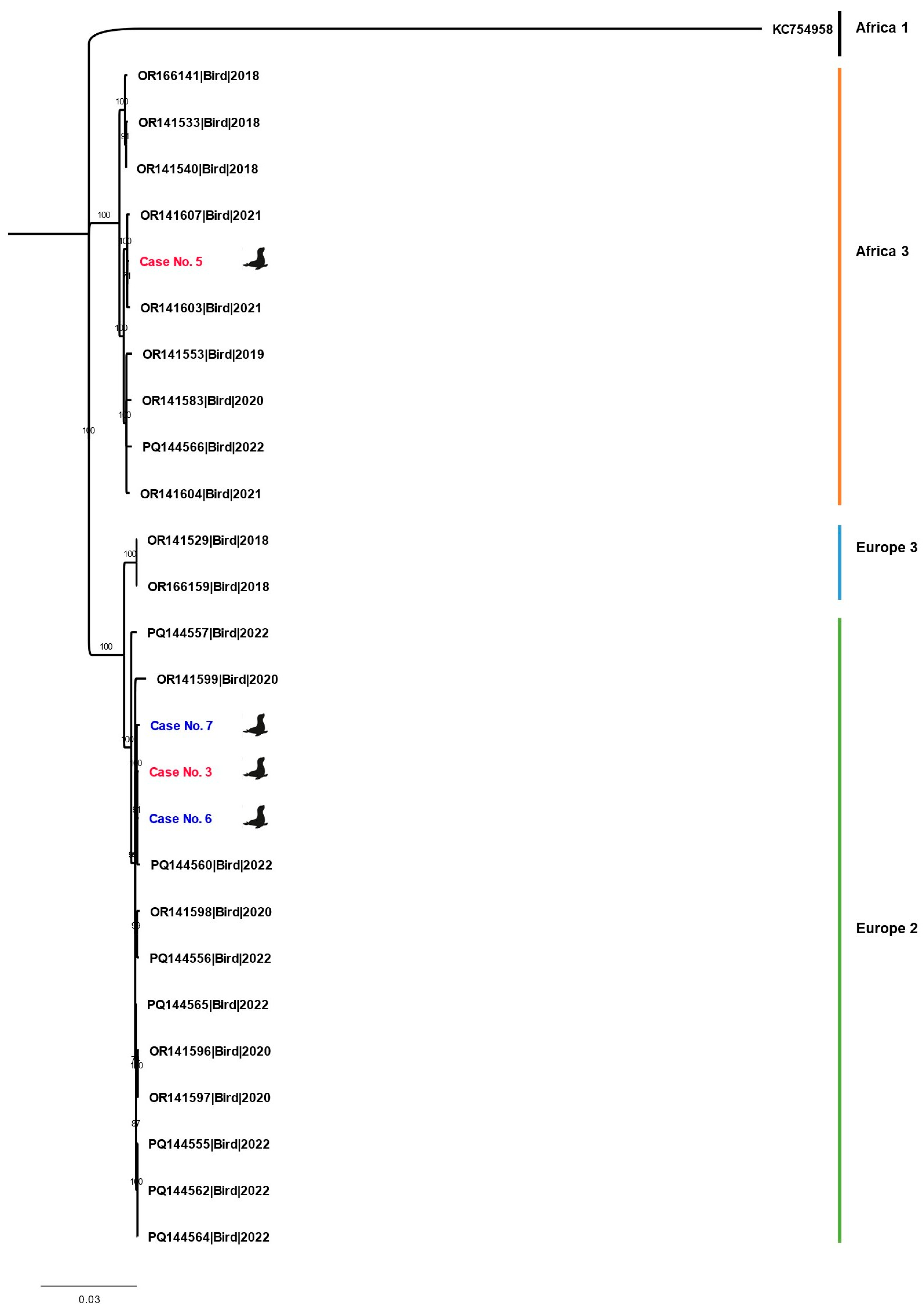 Viruses 18 00371 g002