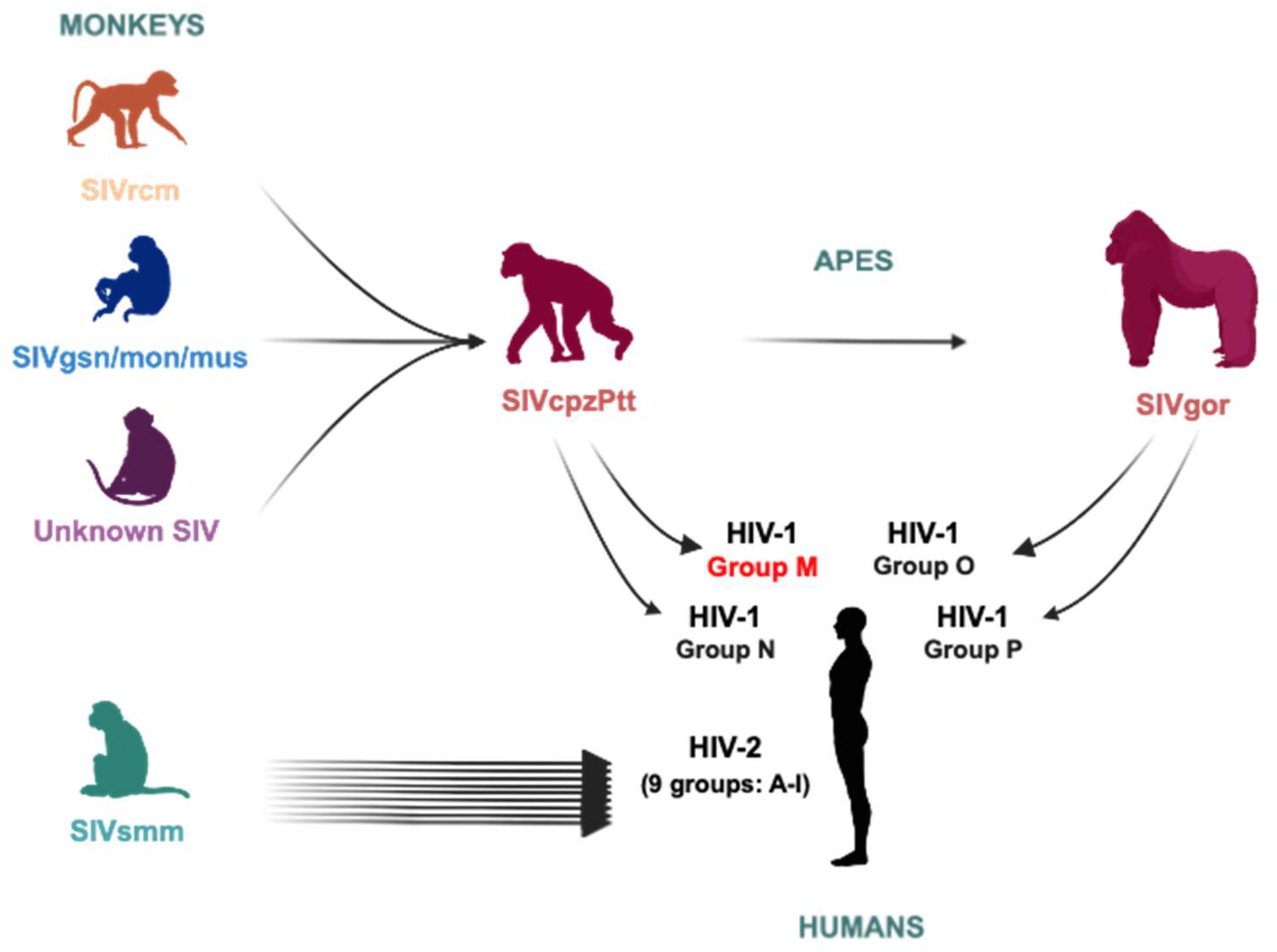 Viruses 18 00381 g001