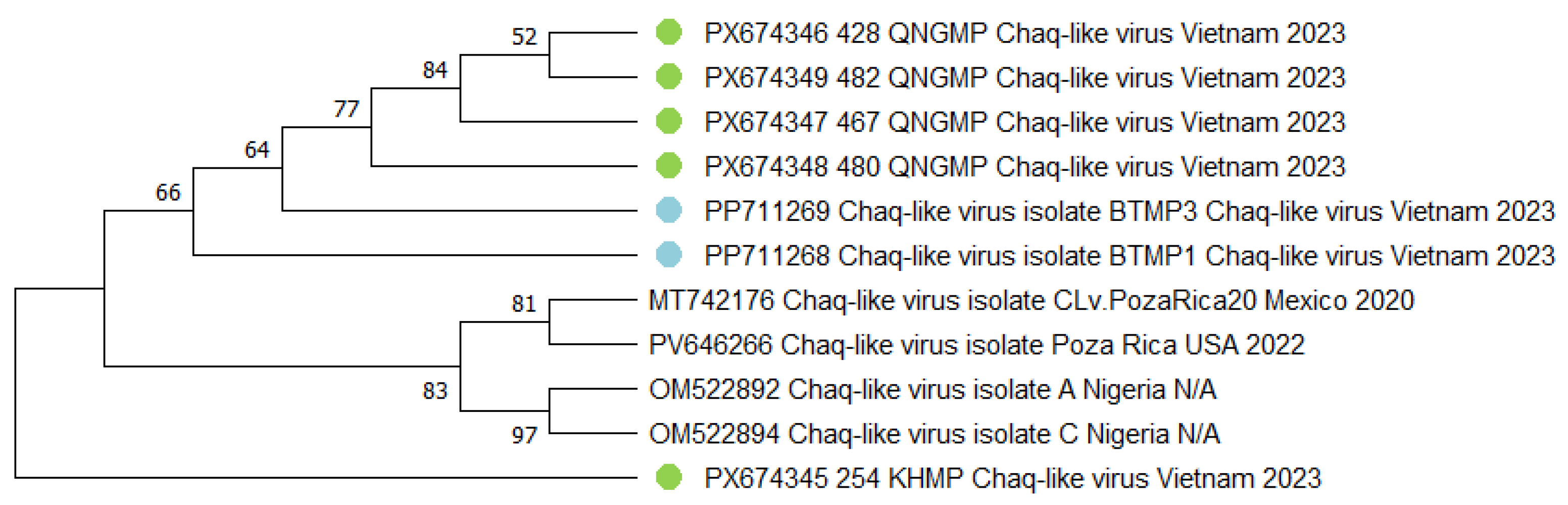 Viruses 18 00422 g006