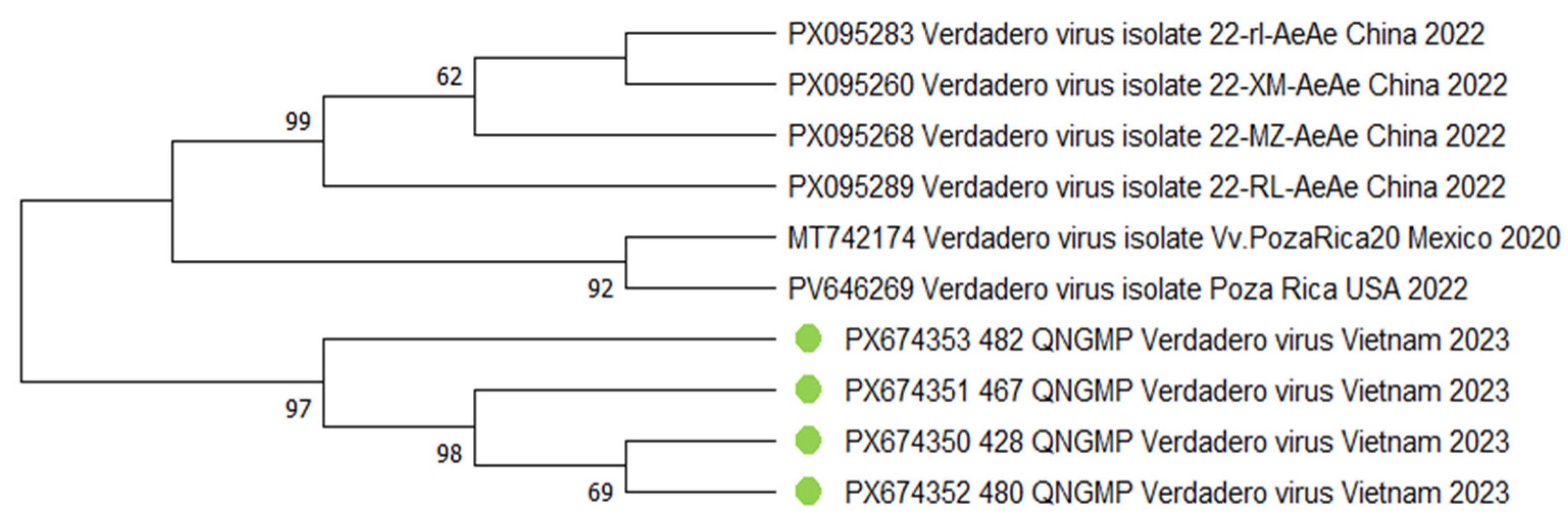 Viruses 18 00422 g007