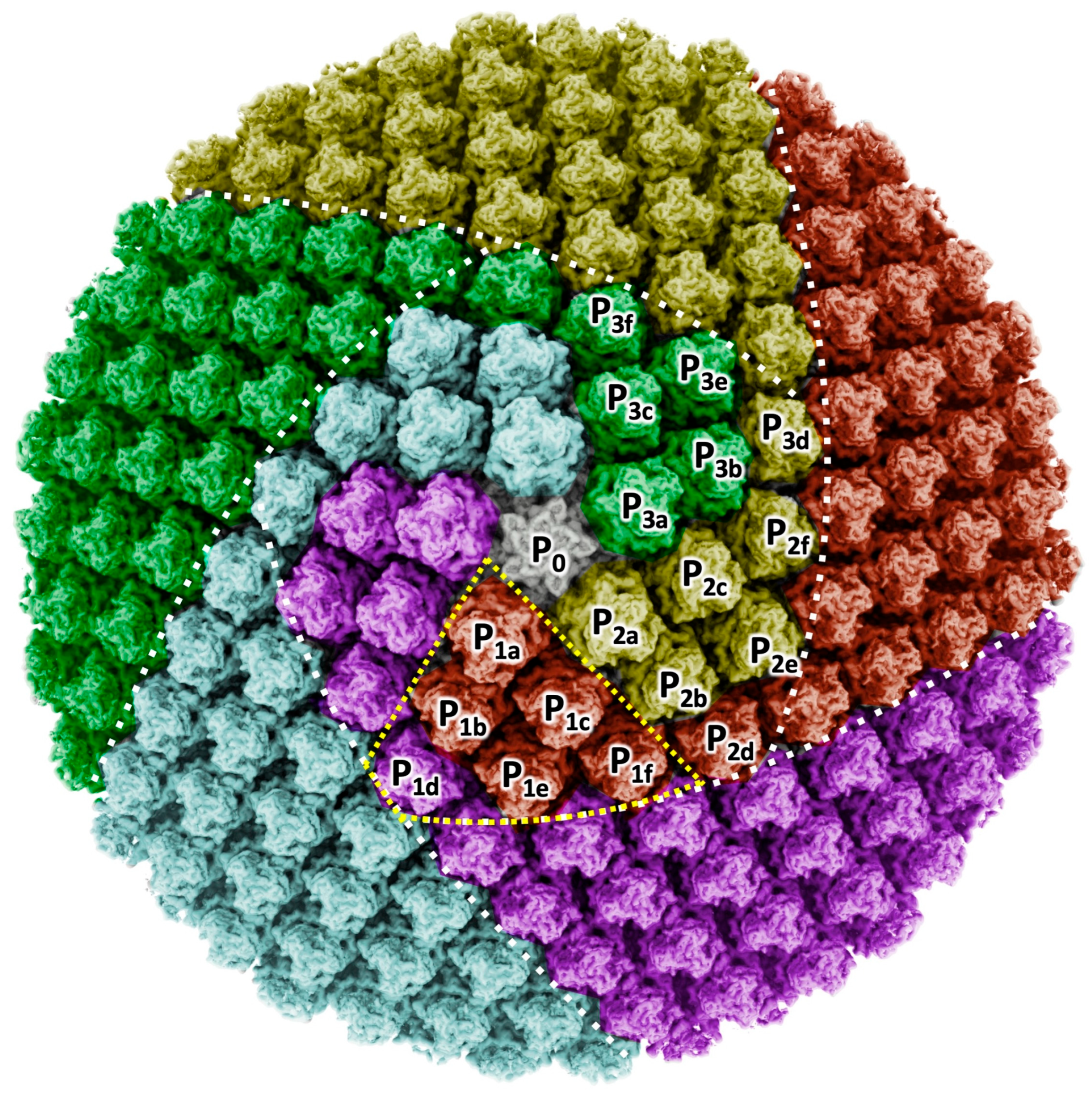 Viruses 18 00433 g005 Viruses 18 00433 g005