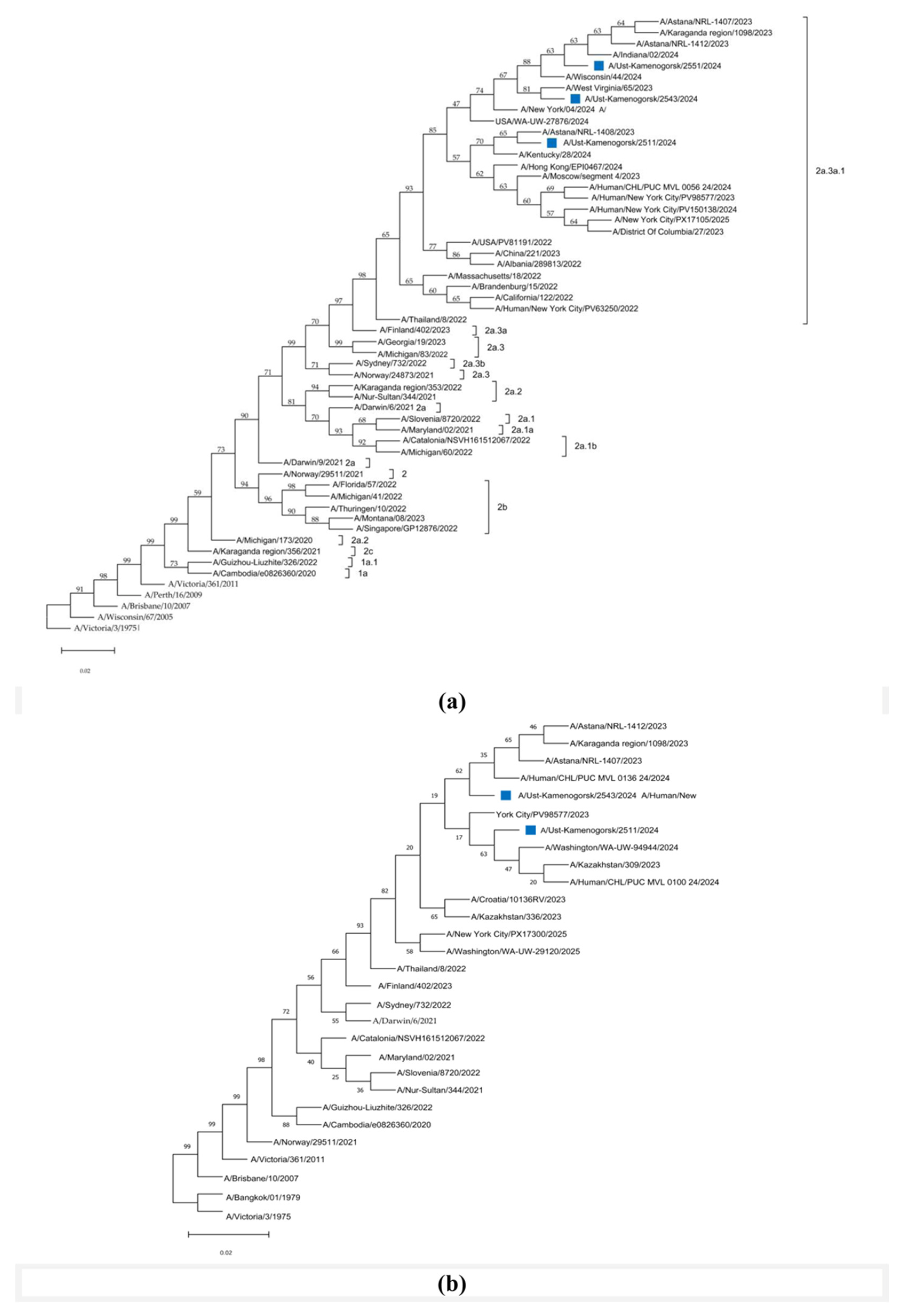 Viruses 18 00441 g003