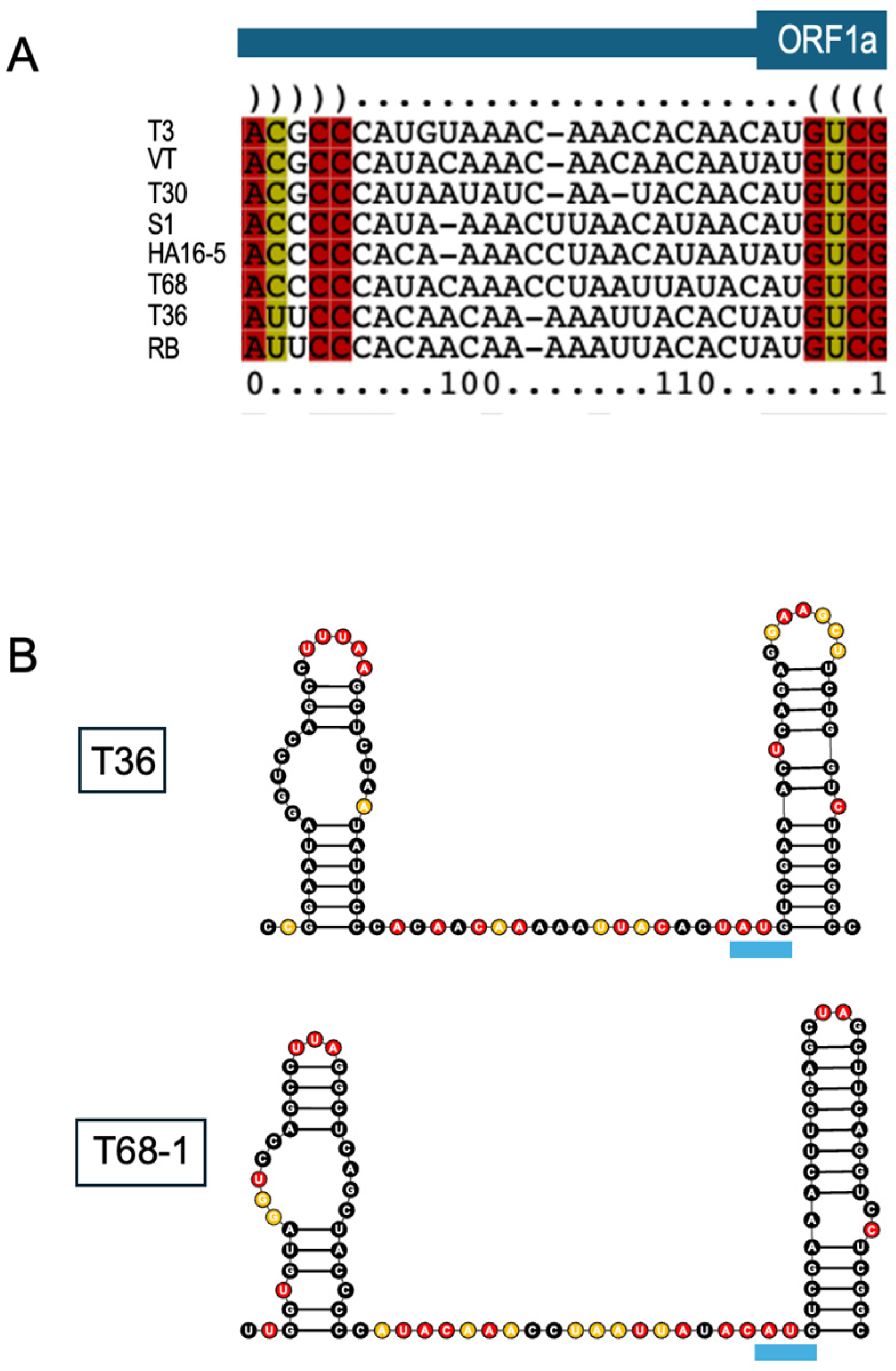Viruses 18 00470 g006